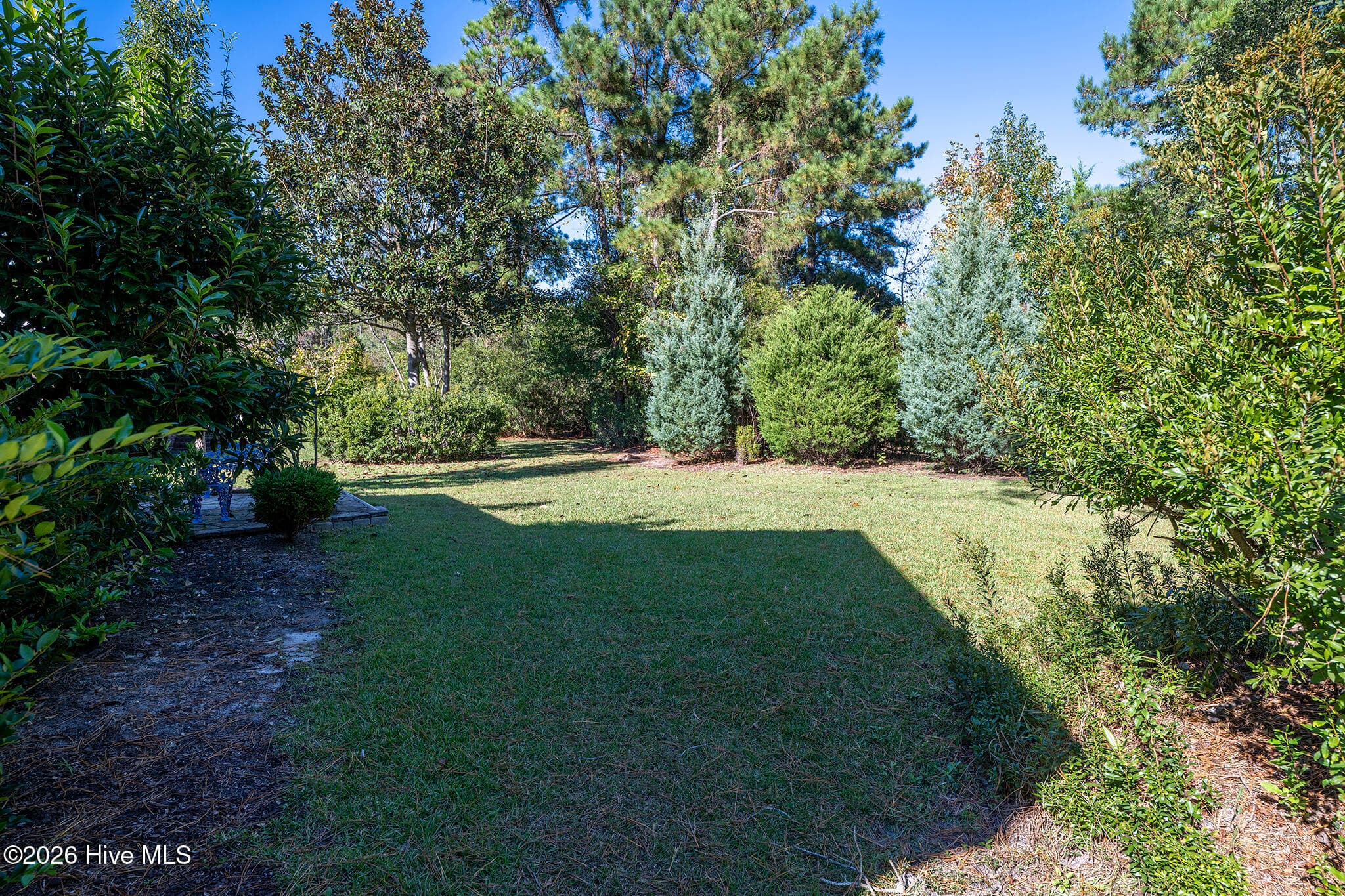 Back Yard - 5505 Blackbeard Lane, New Bern, NC 28560