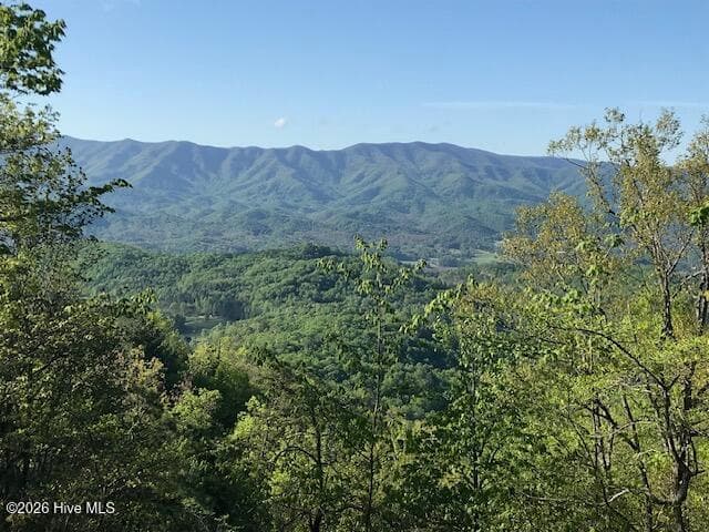 Undeveloped at 760 Cliff Top Trail, Andrews, NC 28901, photo 10 of 14