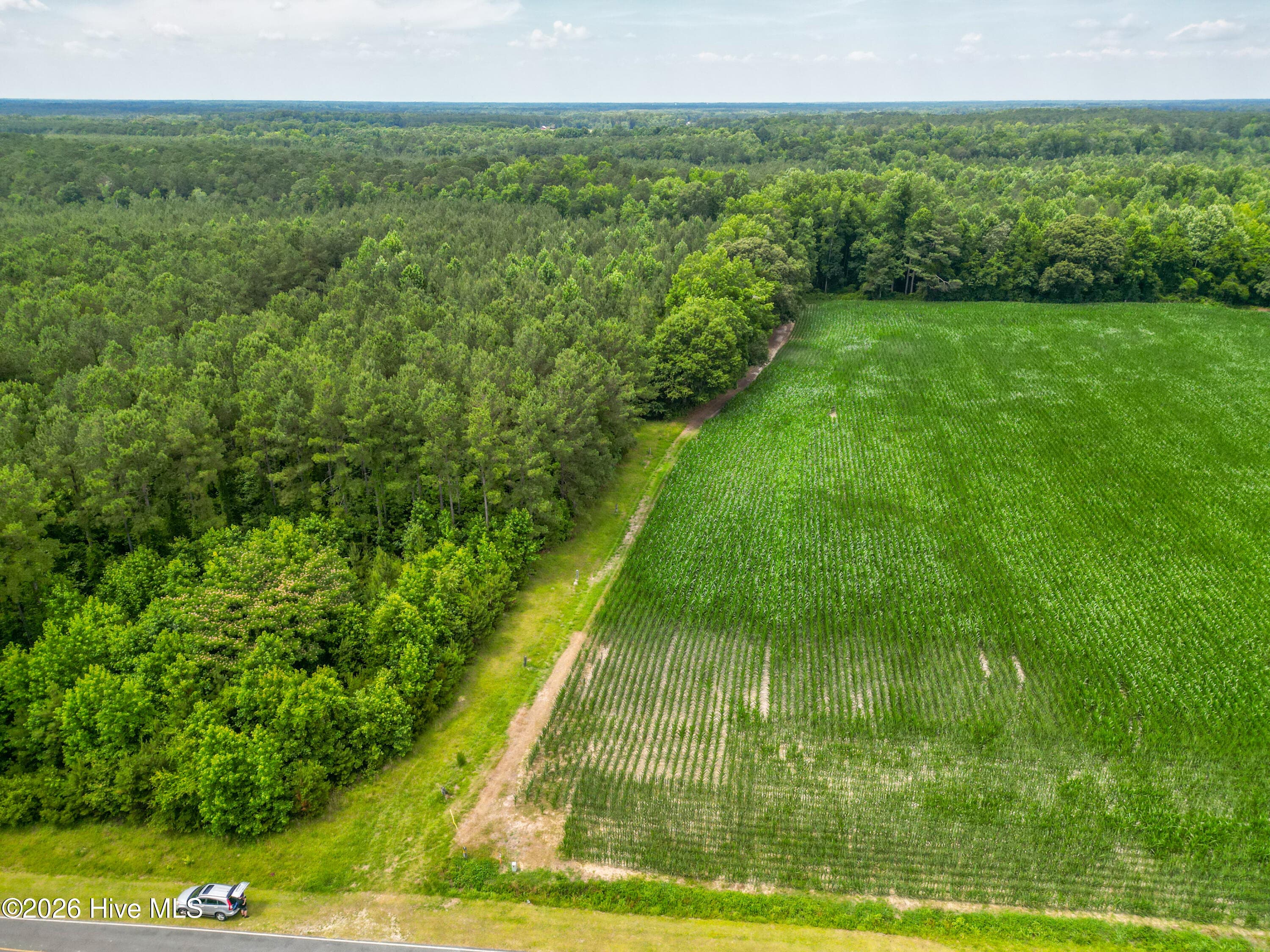 Tbd Farmers Union Road, Clarkton, NC 28433