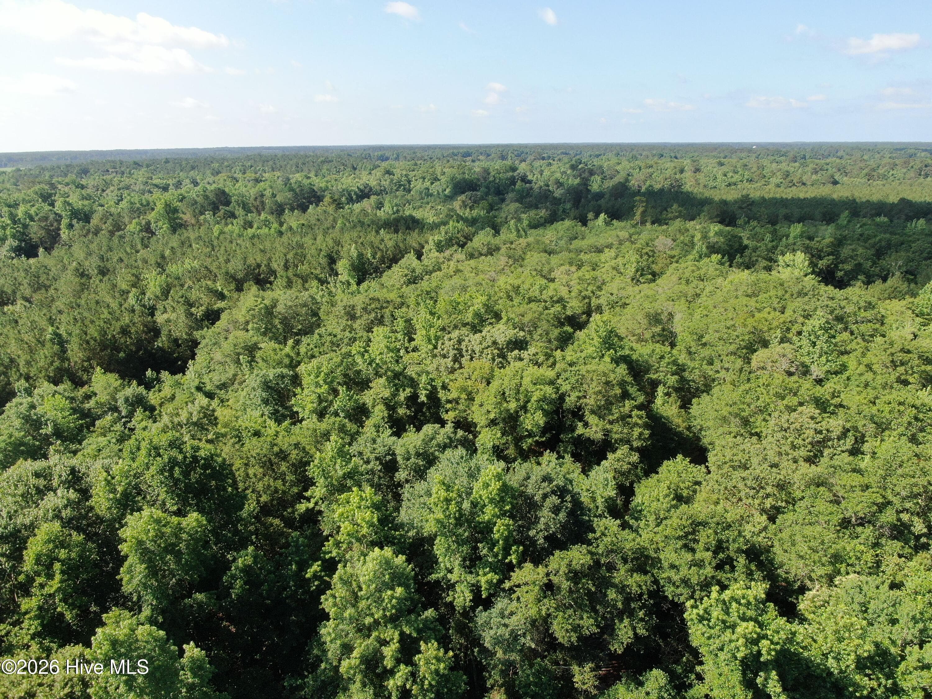 Wooded at Tbd Oliver Carlton Road, Warsaw, NC 28398, photo 10 of 17