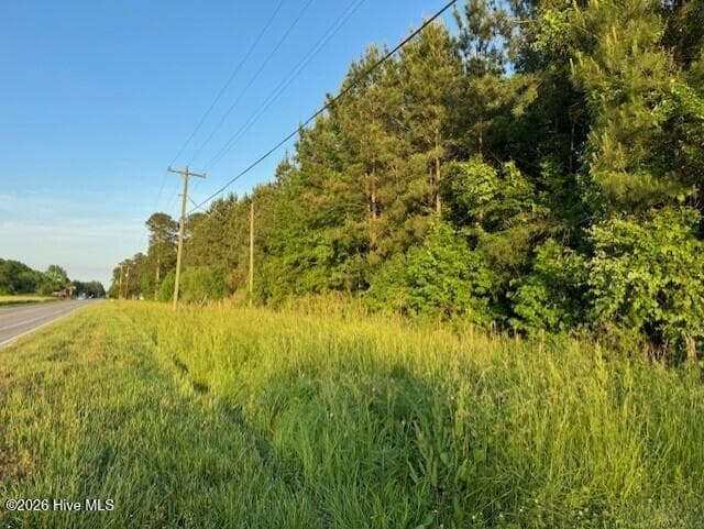Unimproved Land at 53 Nc Hwy 53, Burgaw, NC 28425, photo 11 of 11