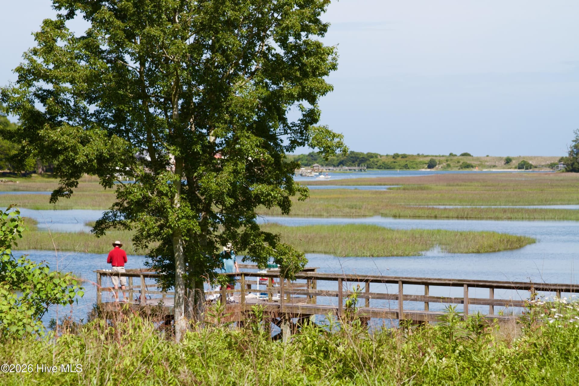 A nature lovers paradise. - 1674 Back Bay Drive SW, Shallotte, NC 28470