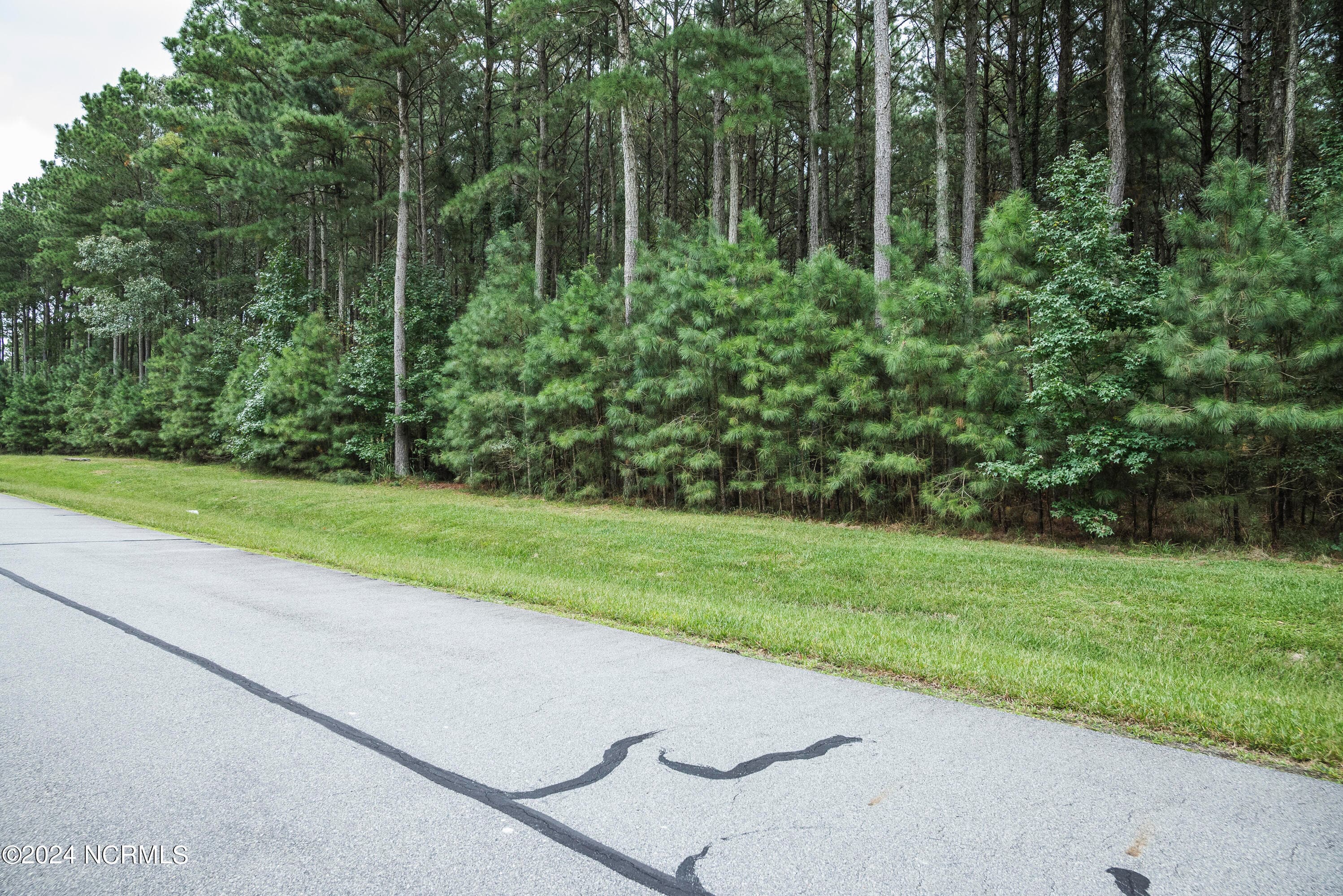 Residential Lot at 420 87 Riversound Drive, Edenton, NC 27932, photo 6 of 14