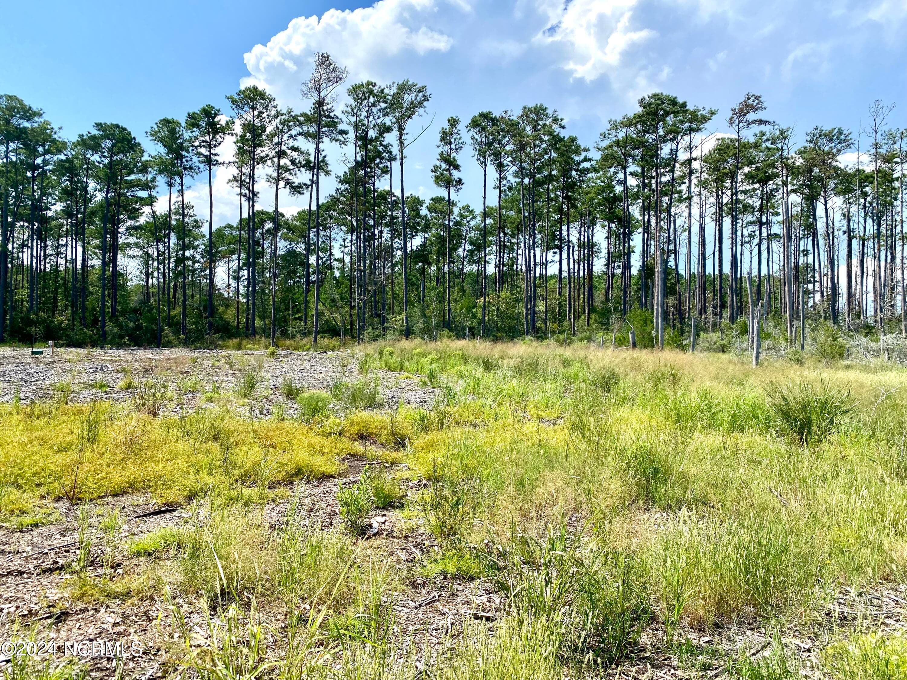Residential Lot at 280 Donnie Davis Road, Williston, NC 28589, photo 18 of 22