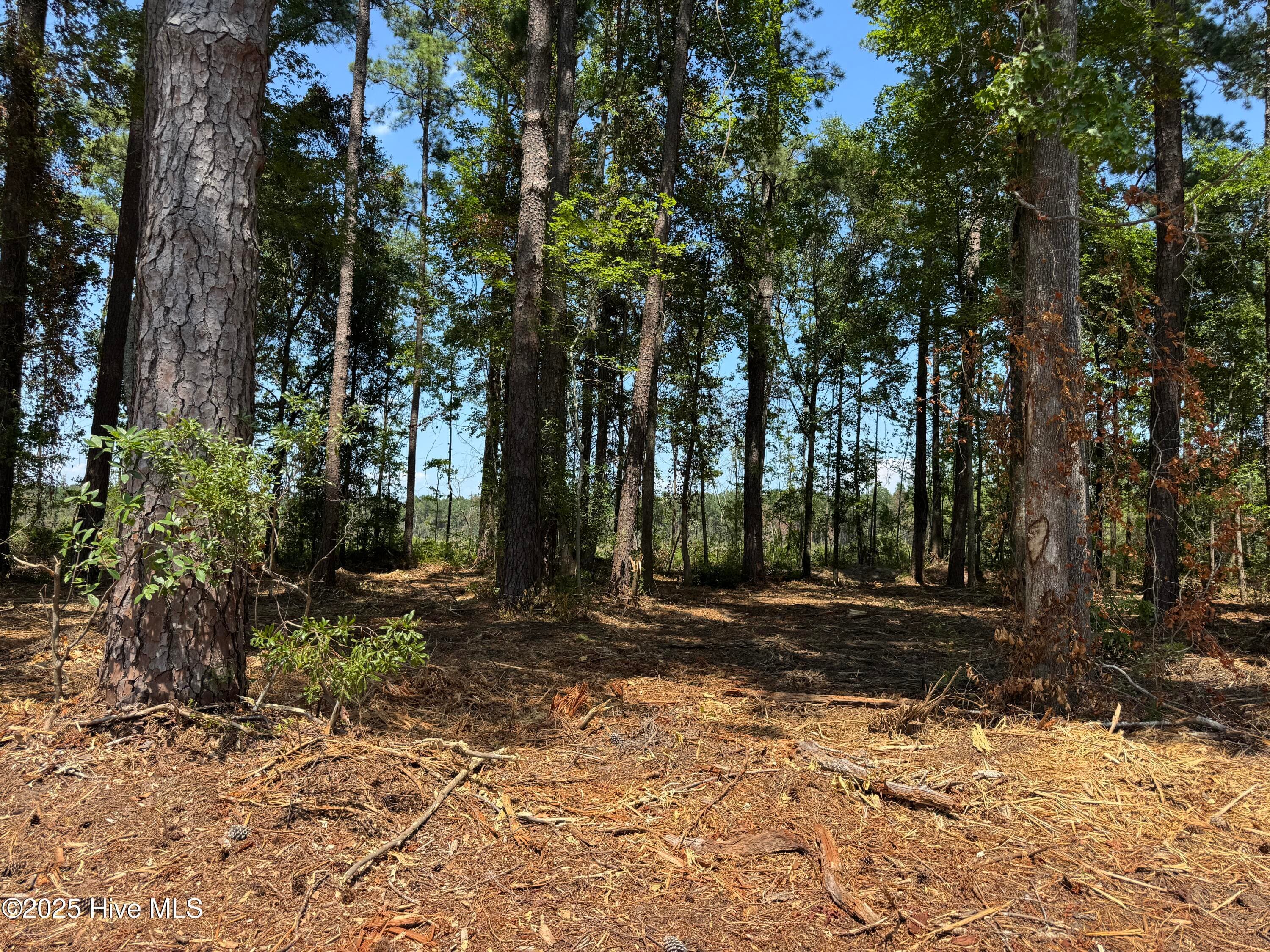Lot 6 6 Near 4102 Swamp Fox Highway W, Tabor City, NC 28463