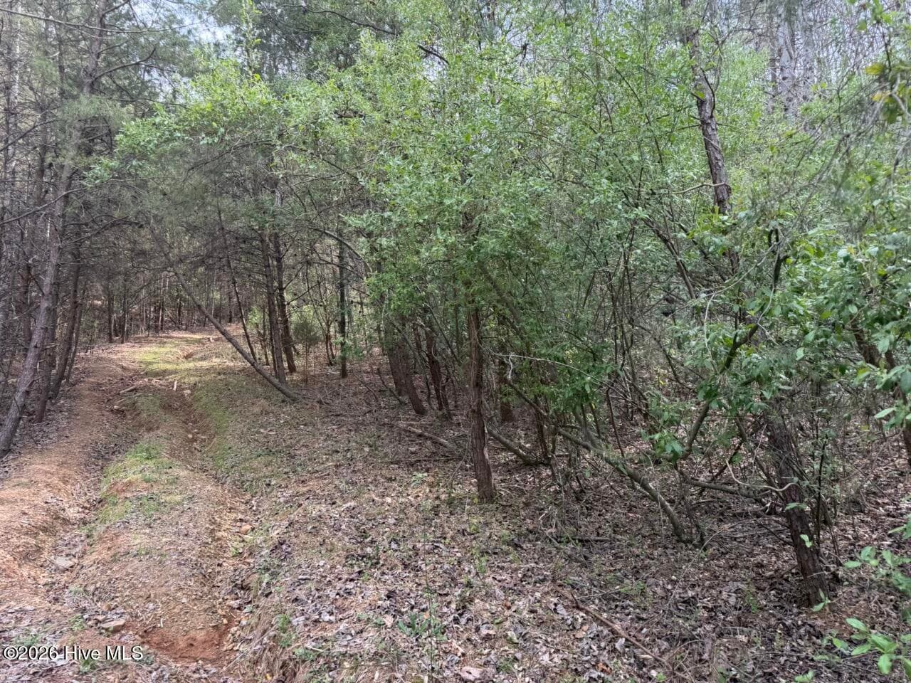 0000 Ogreeta Road, Murphy, NC 28906