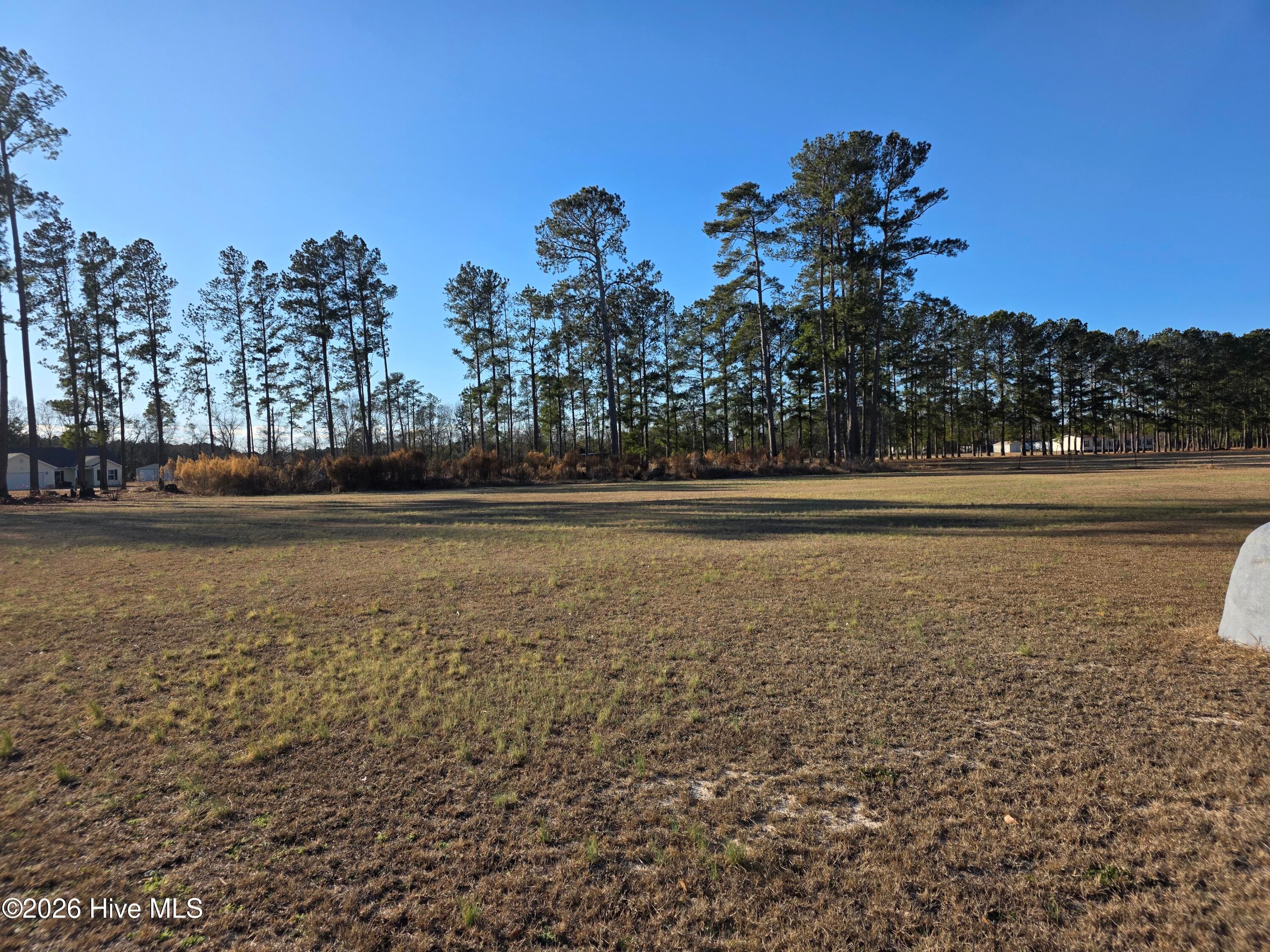 Residential Lot at 183 Ladybell Drive, Orrum, NC 28369, photo 2 of 16