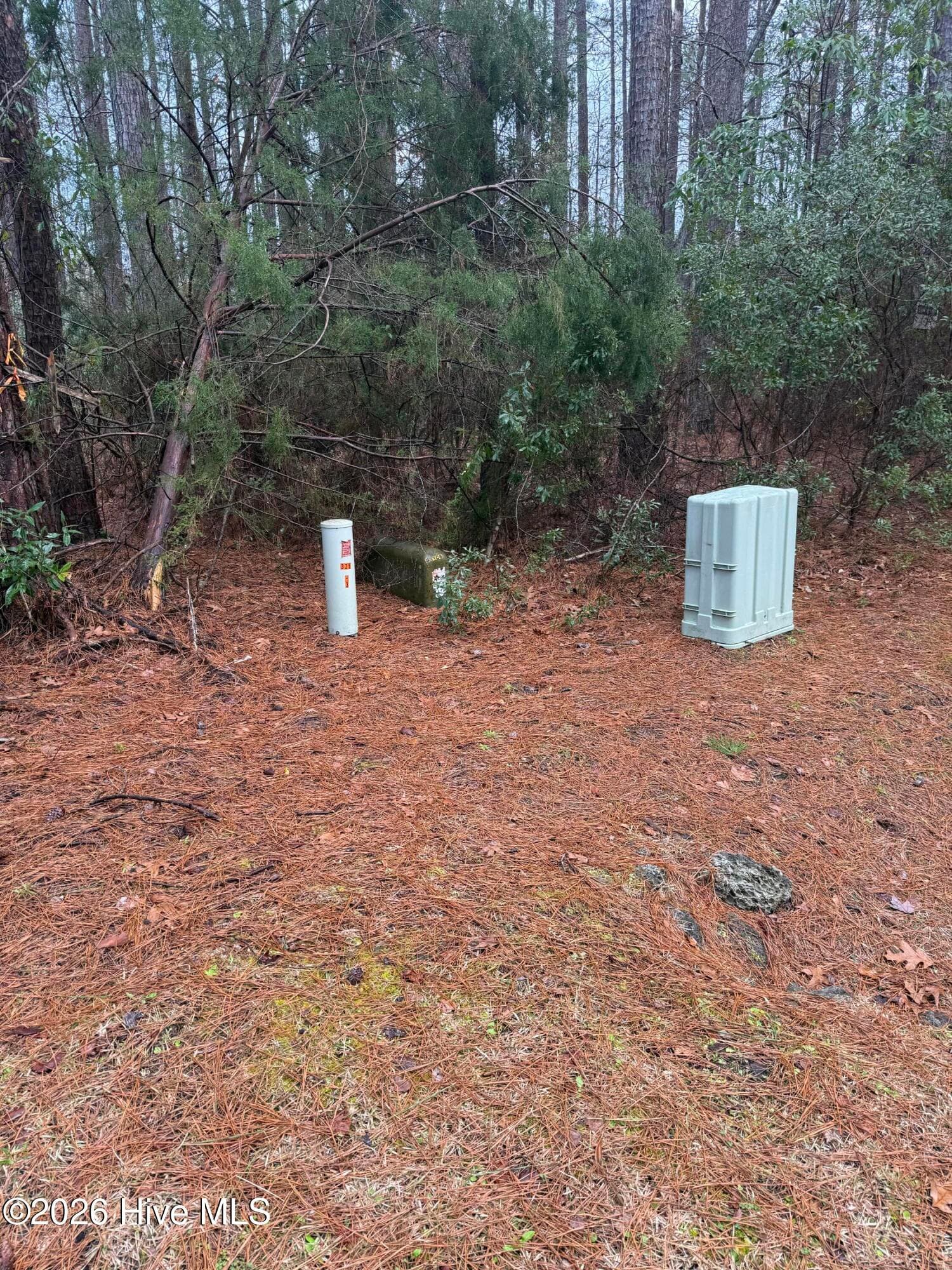 180 8 Tall Pines Drive, Oriental, NC 28571