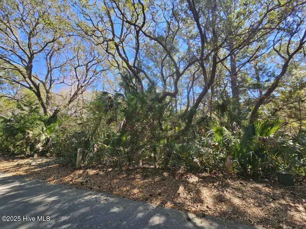 32 327 Dowitcher Trail, Bald Head Island, NC 28461