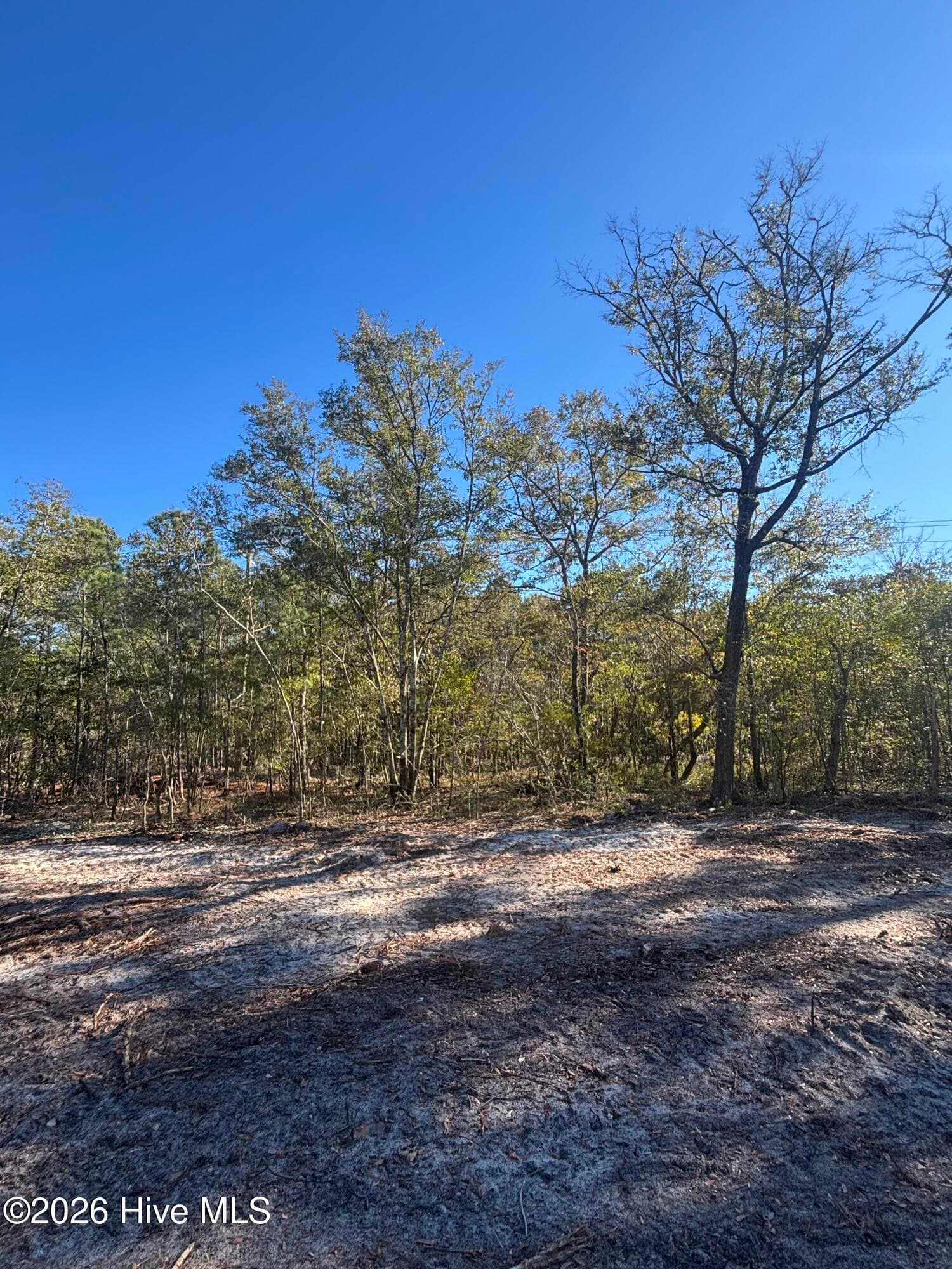 Lot 205 Coral Gull Street, Southport, NC 28461