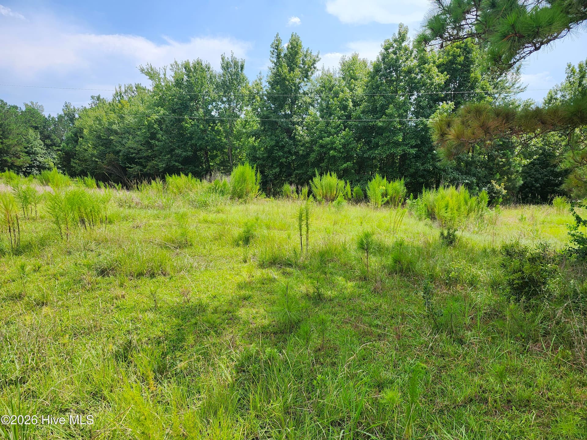 Wooded at 306 16 Revised Howards Landing Road, Hampstead, NC 28443, photo 2 of 17