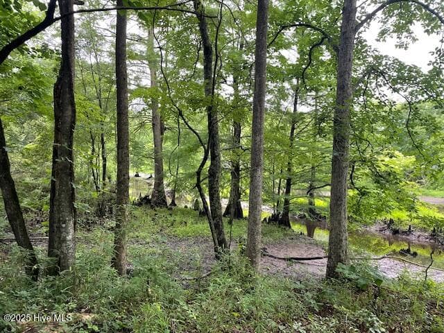 Residential Lot at 62 Live Oak Drive, Elizabethtown, NC 28337, photo 2 of 4