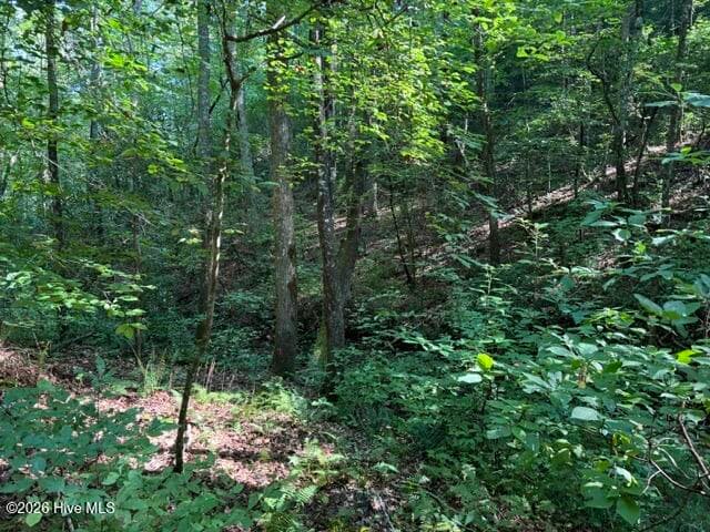 Residential Lot at 5 Tyler Lane, Marble, NC 28905, photo 25 of 28