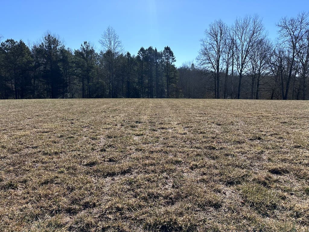 Residential Lot at 38 Holly Point Drive, Murphy, NC 28906, photo 14 of 16