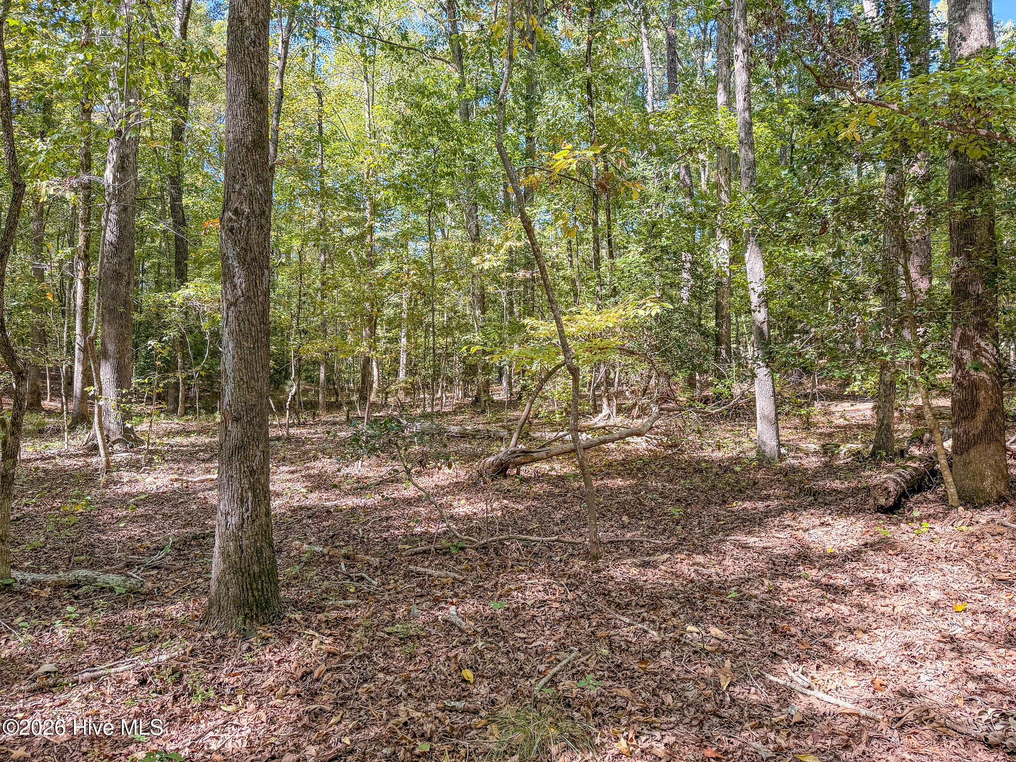 Residential Lot at 104 Western Trail, Carthage, NC 28327, photo 9 of 11