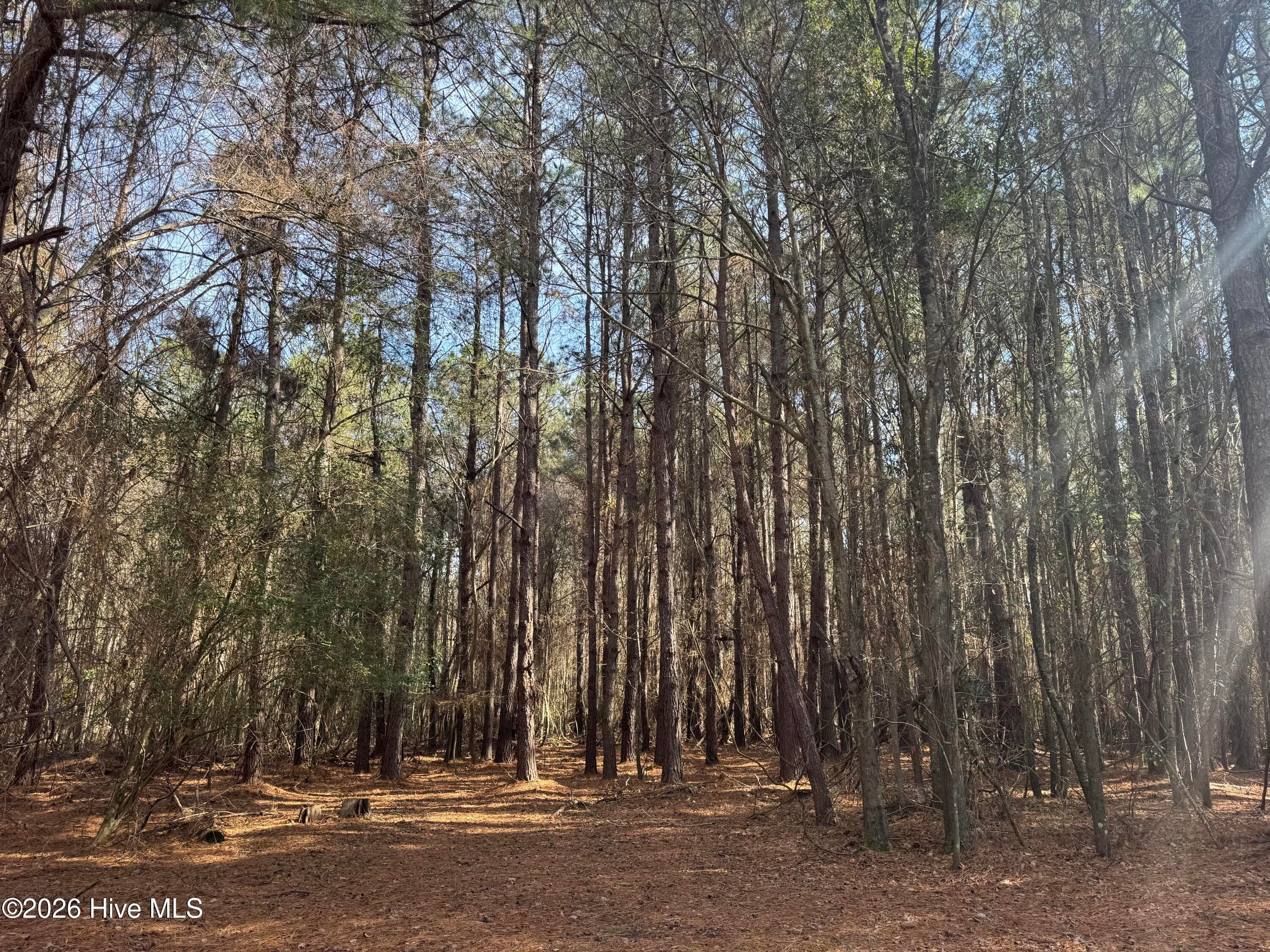 Mixed Use at 0 Butler Mill Road, Bladenboro, NC 28320, photo 6 of 7