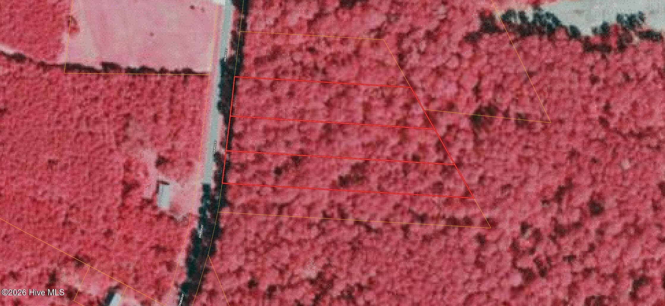 Undeveloped at 1 2 3 Church Street, Willard, NC 28478, photo 6 of 7