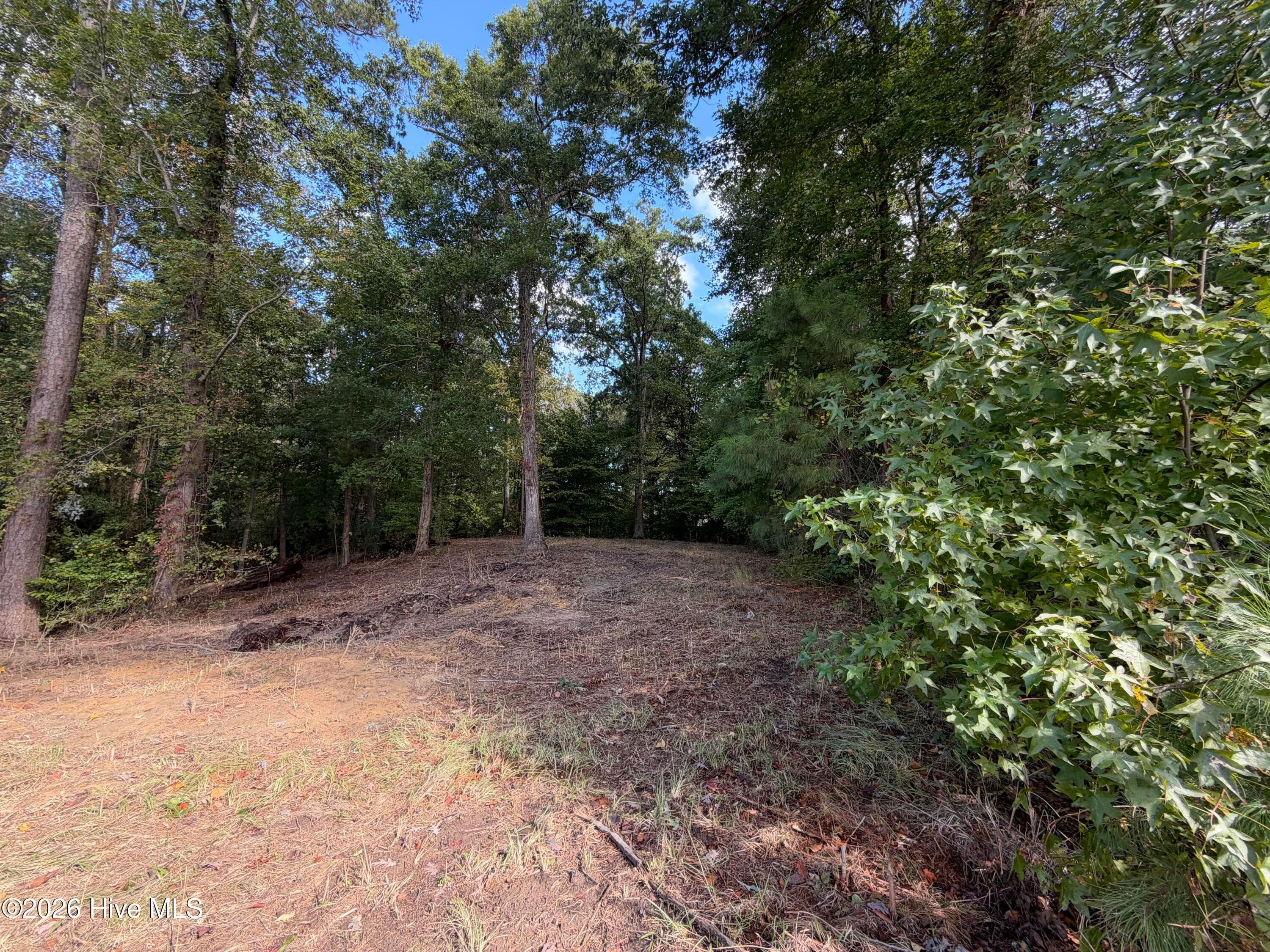 21 21 Hannah Drive, Chocowinity, NC 27817