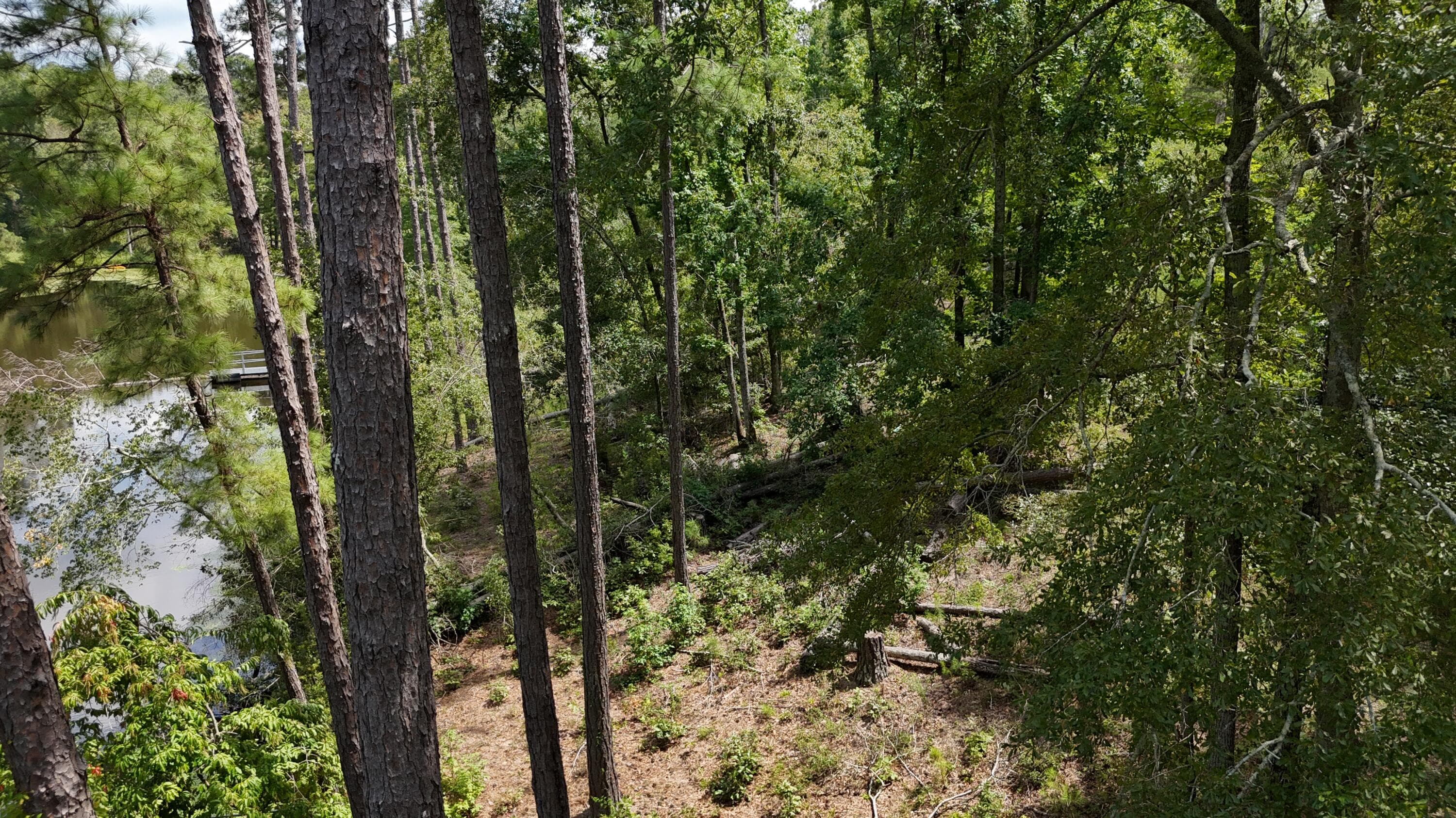 Residential Lot at 0 Hummingbird Drive, Trenton, SC 29847, photo 8 of 14