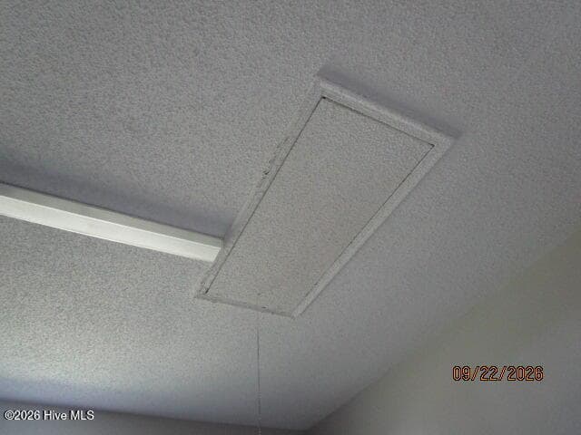 Garage attic steps - 4006 Amstel Court, Elizabeth City, NC 27909