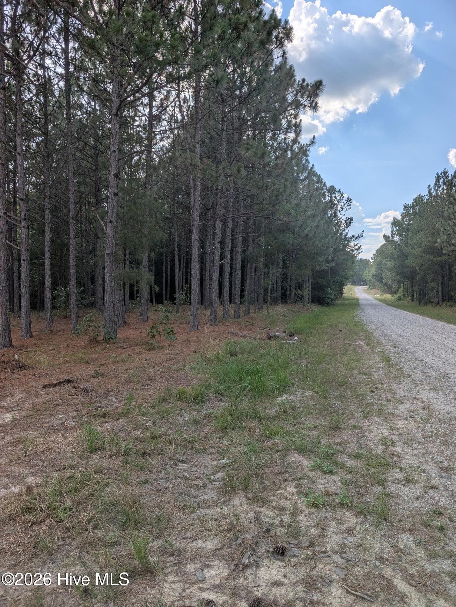 Residential Lot at 270 1-R Charles Road, Eagle Springs, NC 27242, photo 5 of 13