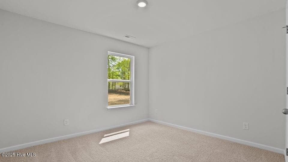 Single Family Residence at 125 Claude Street Lot 46, La Grange, NC 28551, photo 13 of 39