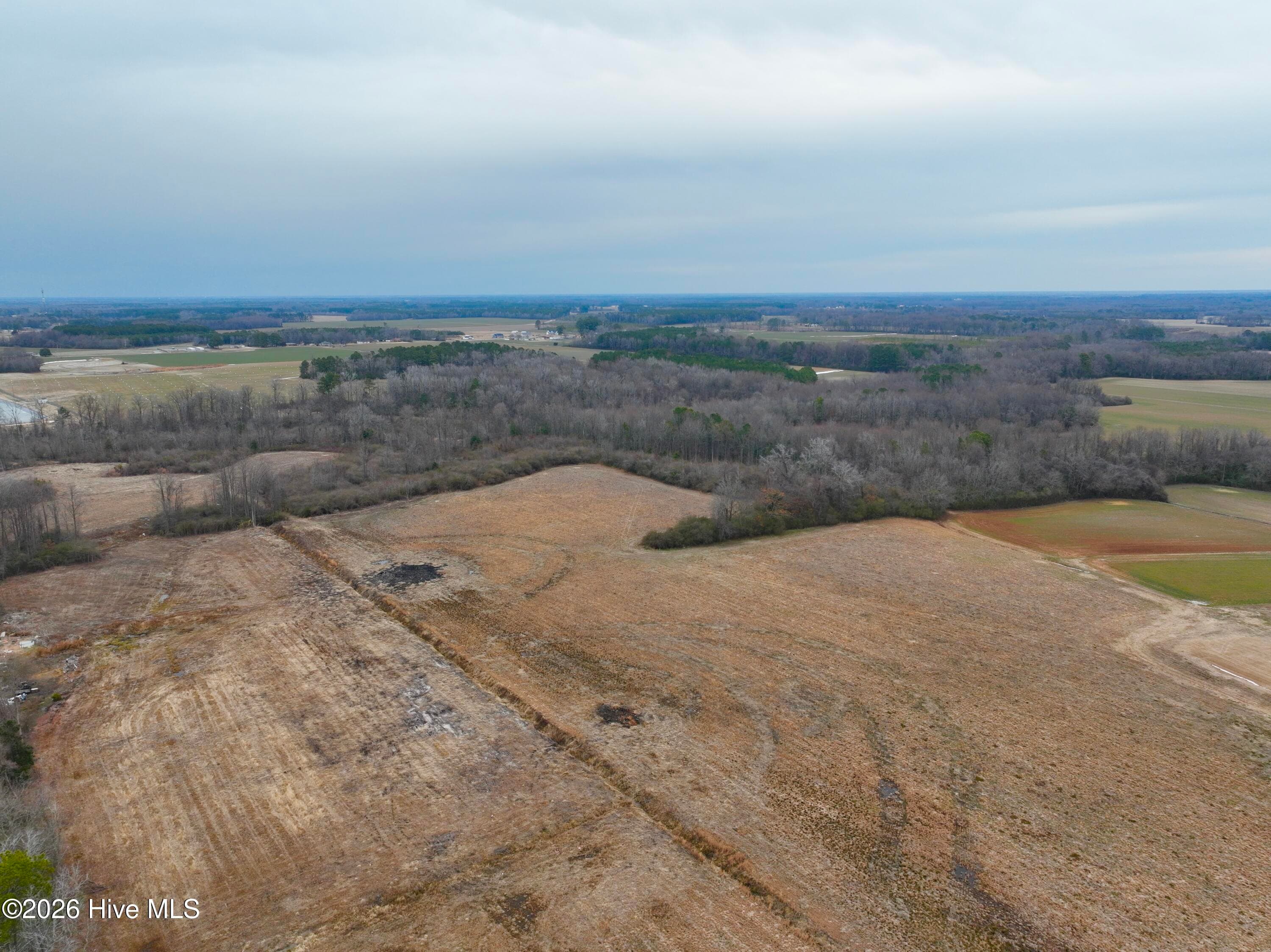Undeveloped at 0 Nc 222 Hwy, Fremont, NC 27830, photo 10 of 14