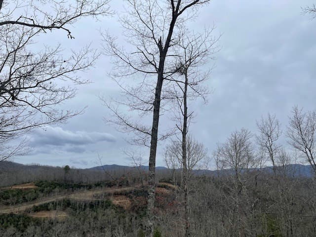 Wooded at 41 41 Mystic Ridge Way W, Topton, NC 28781, photo 2 of 7
