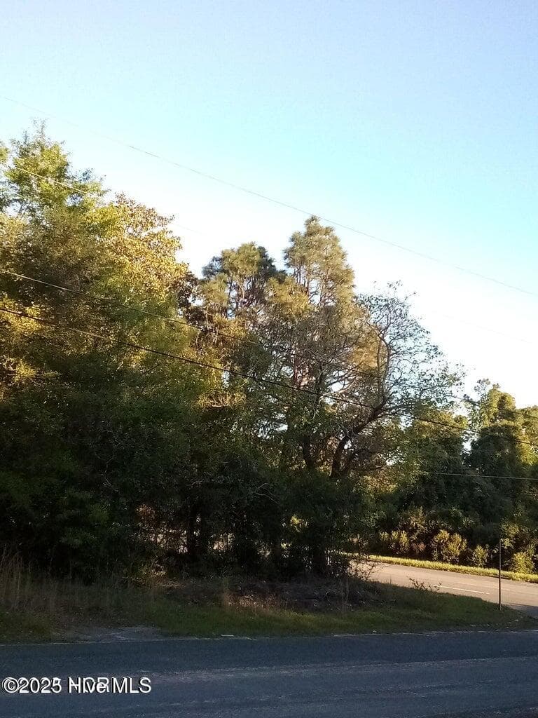 Residential Lot at Tbd Hwy 74 E, Hamlet, NC 28345, photo 5 of 7
