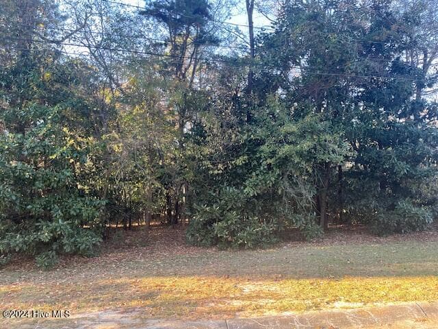 Wooded at 408 Lot 4, Block F, Lake Pines Drive, La Grange, NC 28551, photo 7 of 12