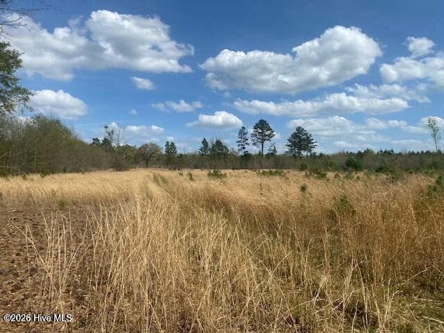 Residential Lot at 28385 Aberdeen Road, Wagram, NC 28396, photo 4 of 4