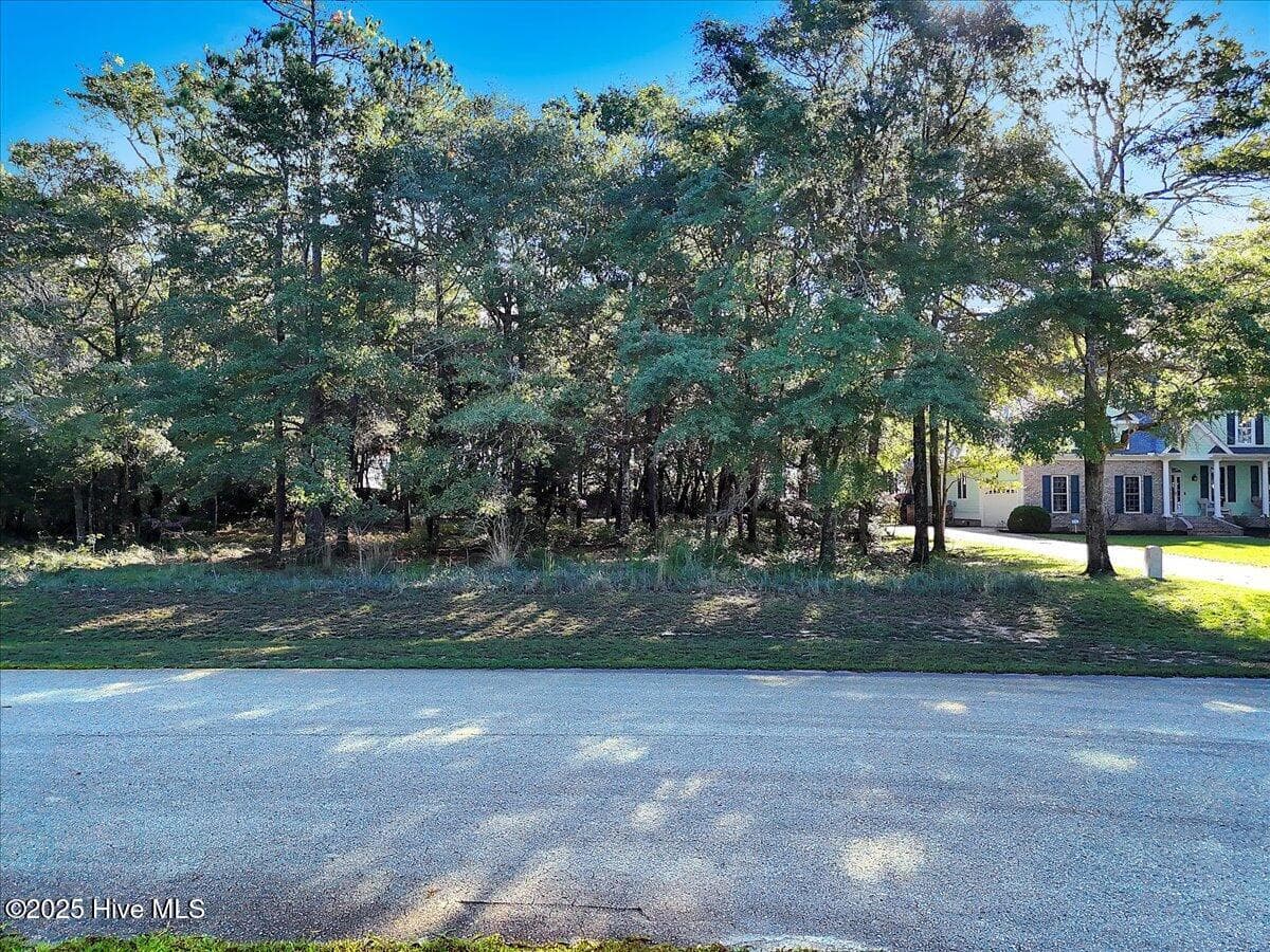 Residential Lot at 3349 428 Stone Crab Court SW, Supply, NC 28462, photo 2 of 20