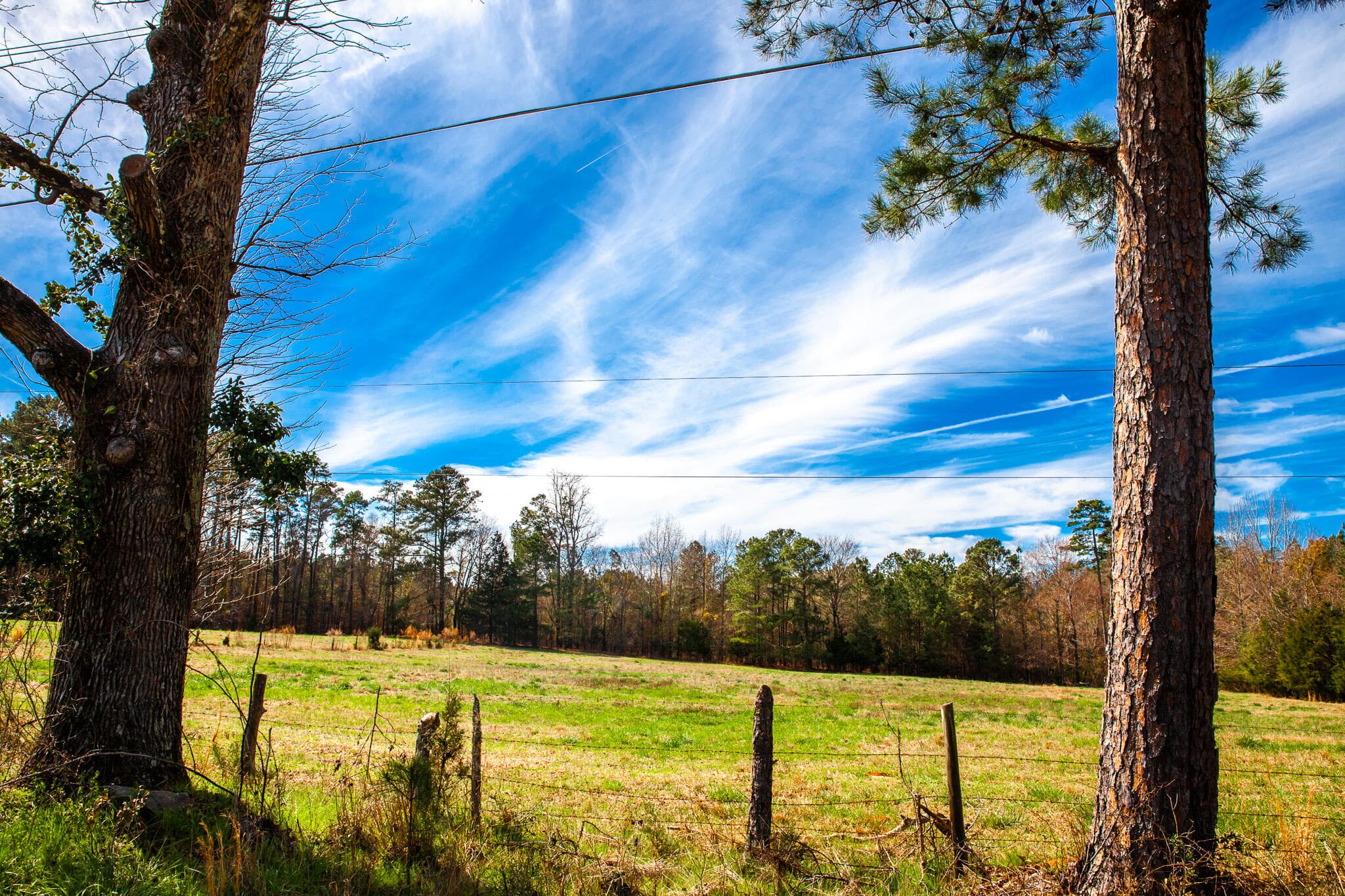 Undeveloped at 3510 4 Mistletoe Road, Appling, GA 30802, photo 7 of 7