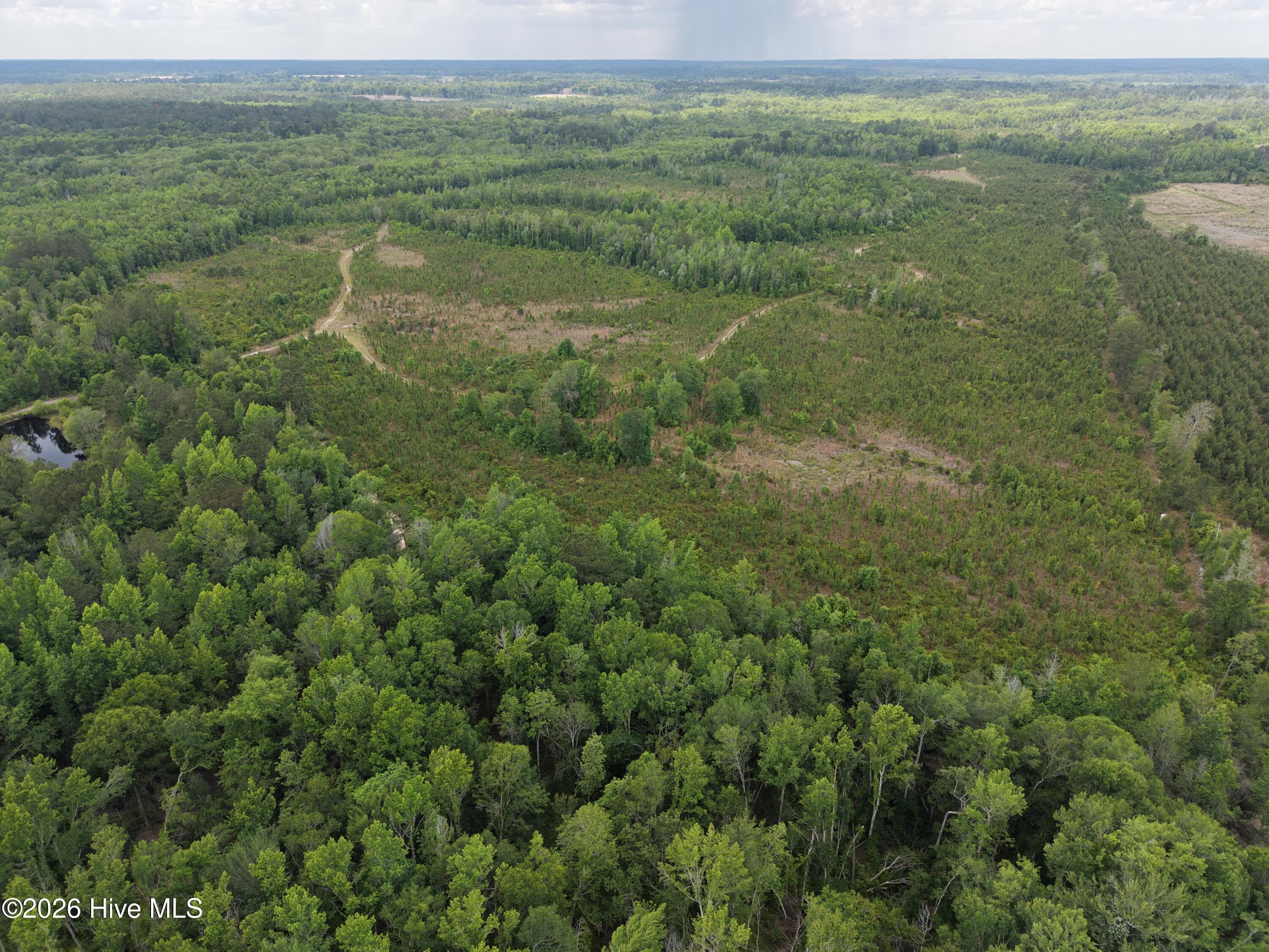 Agriculture at 0 S Hwy 129, Metter, GA 30439, photo 4 of 16