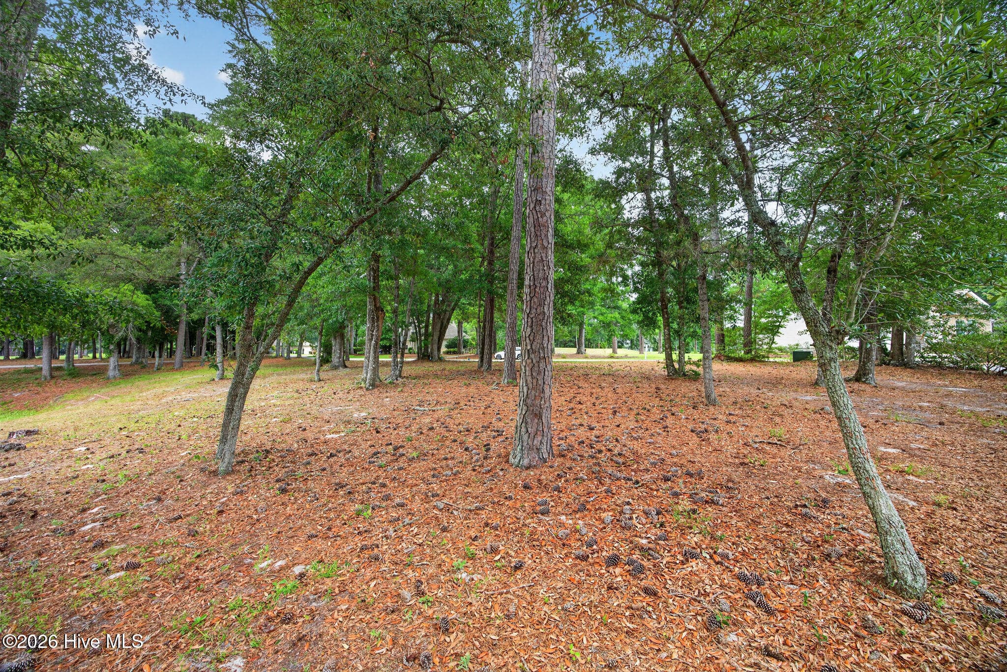 Residential Lot at 85 Marina Drive SW, Supply, NC 28462, photo 19 of 23