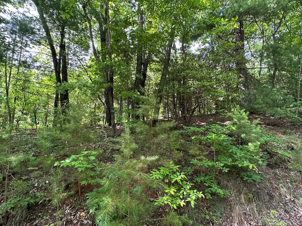 Lot 31 31 Peak Trail, Murphy, NC 28906