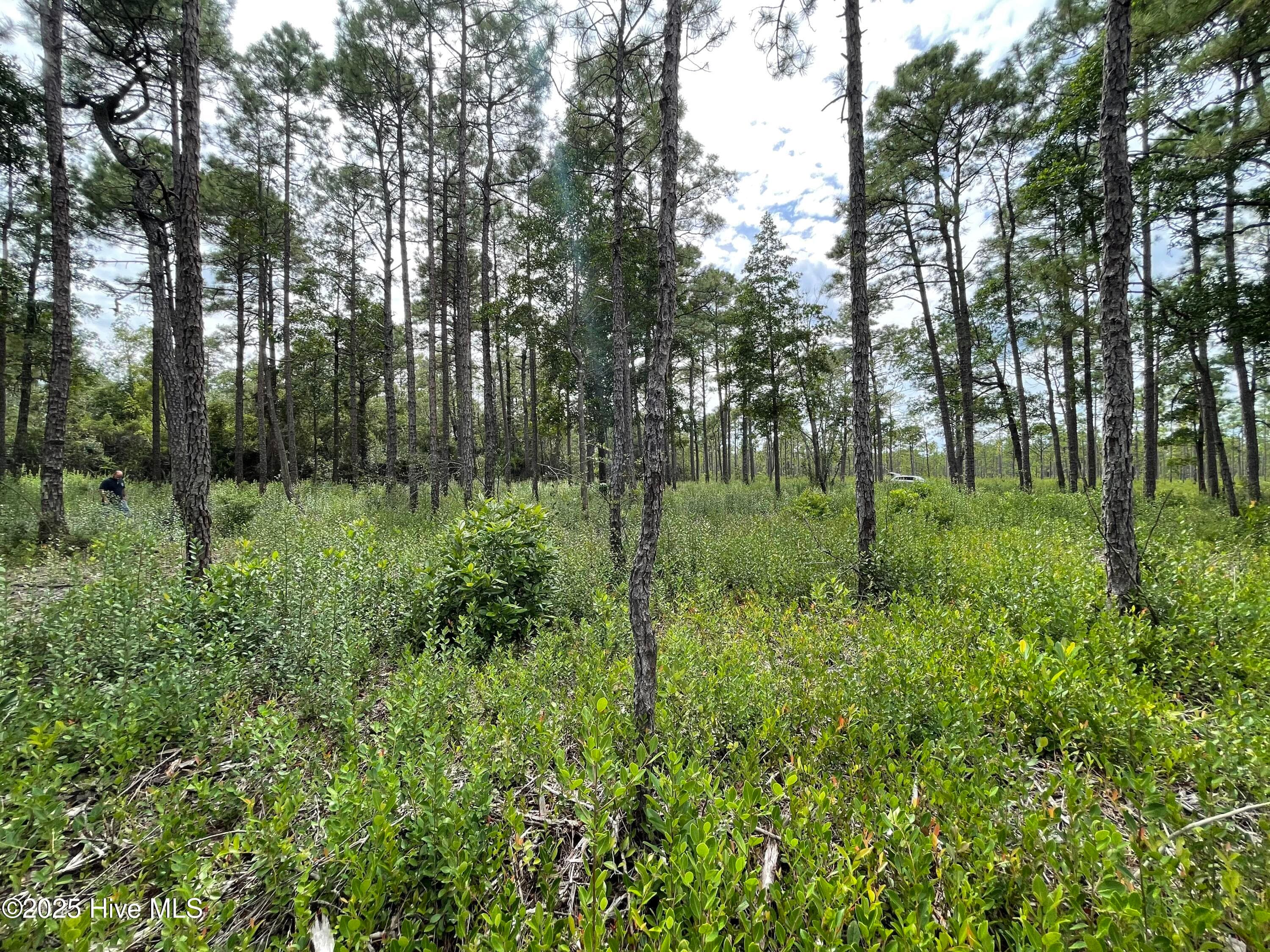 Residential Lot at 811 Brittany Road, Southport, NC 28461, photo 12 of 25