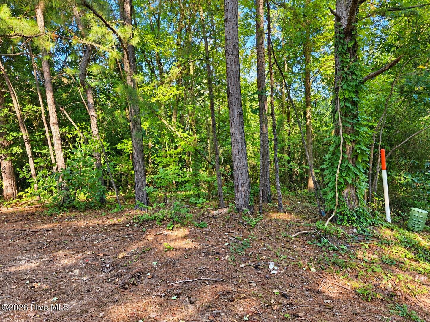 From Tyler Lane looking into the lot - 0 Spies Road, Robbins, NC 27325