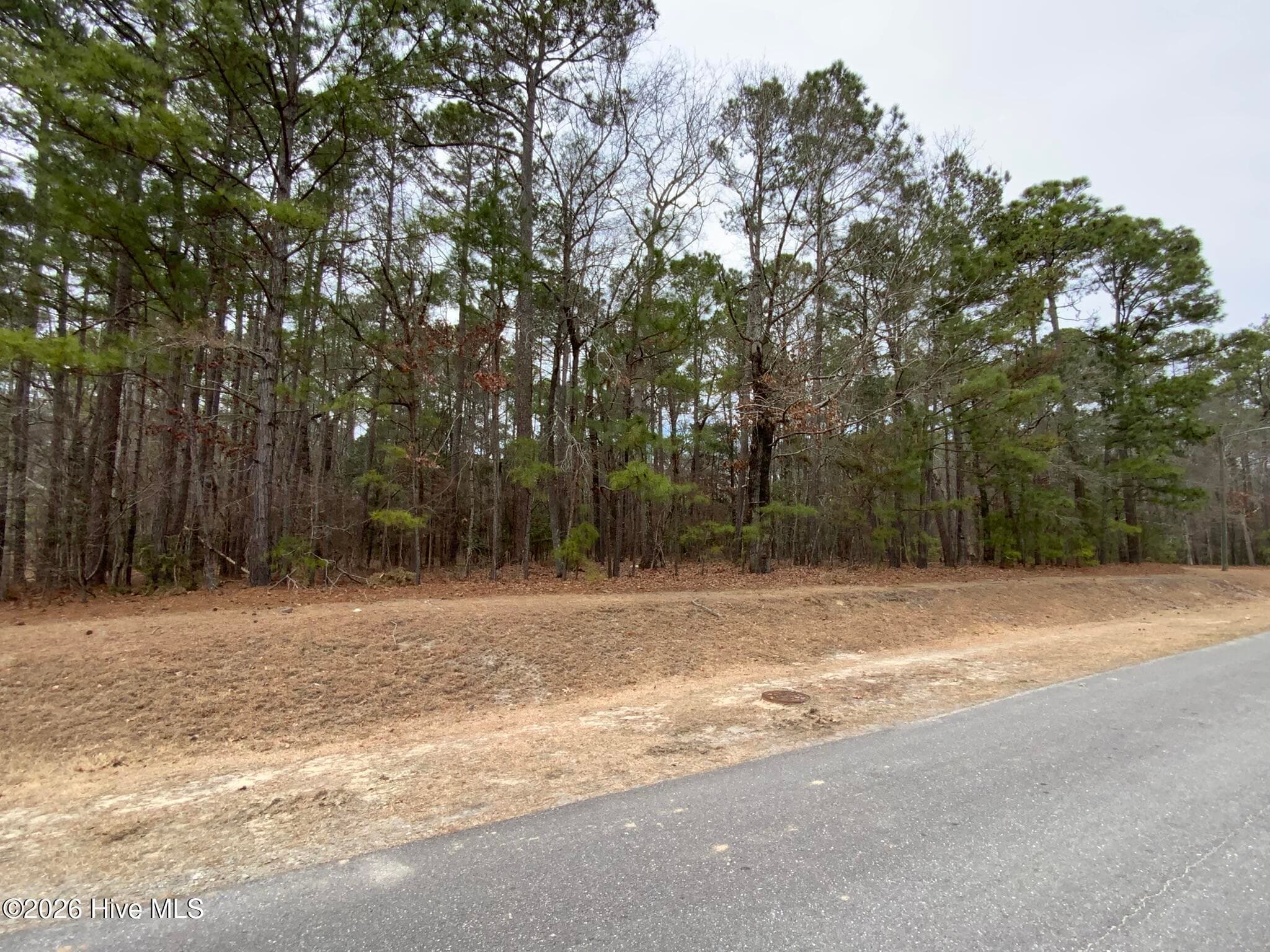 101 Long Leaf Lane, Goldsboro, NC 27534
