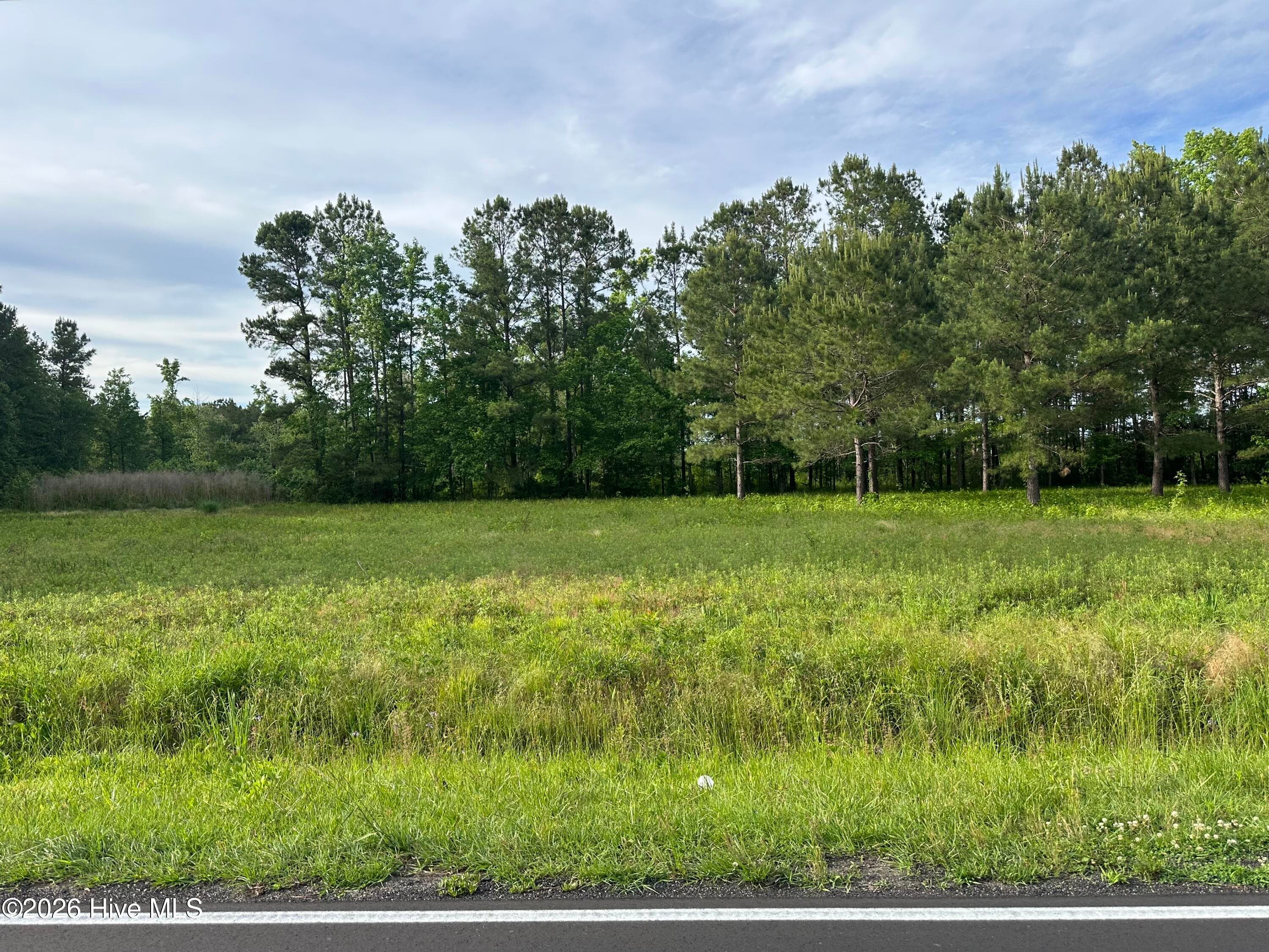 Near 594 Big Cypress Road, Nakina, NC 28455