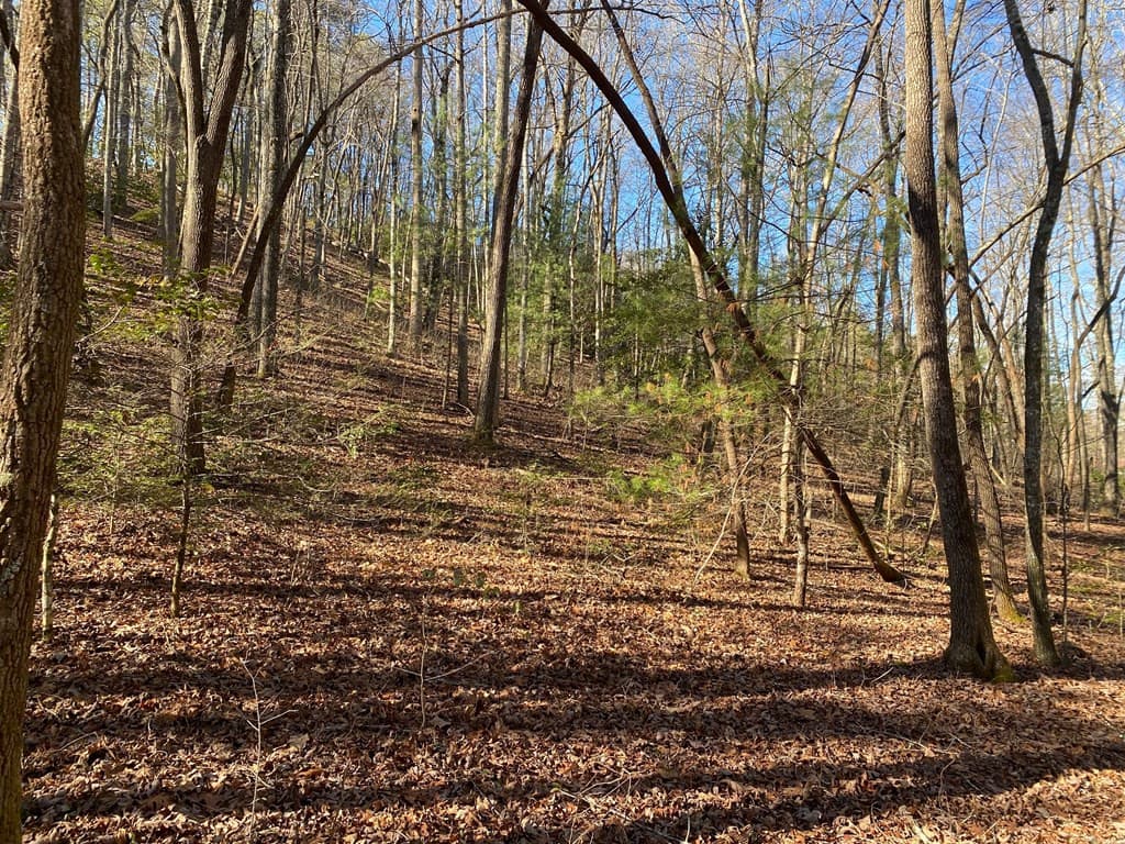 Land at TBD Collett Wood Cove, Andrews, NC 28901, photo 5 of 5