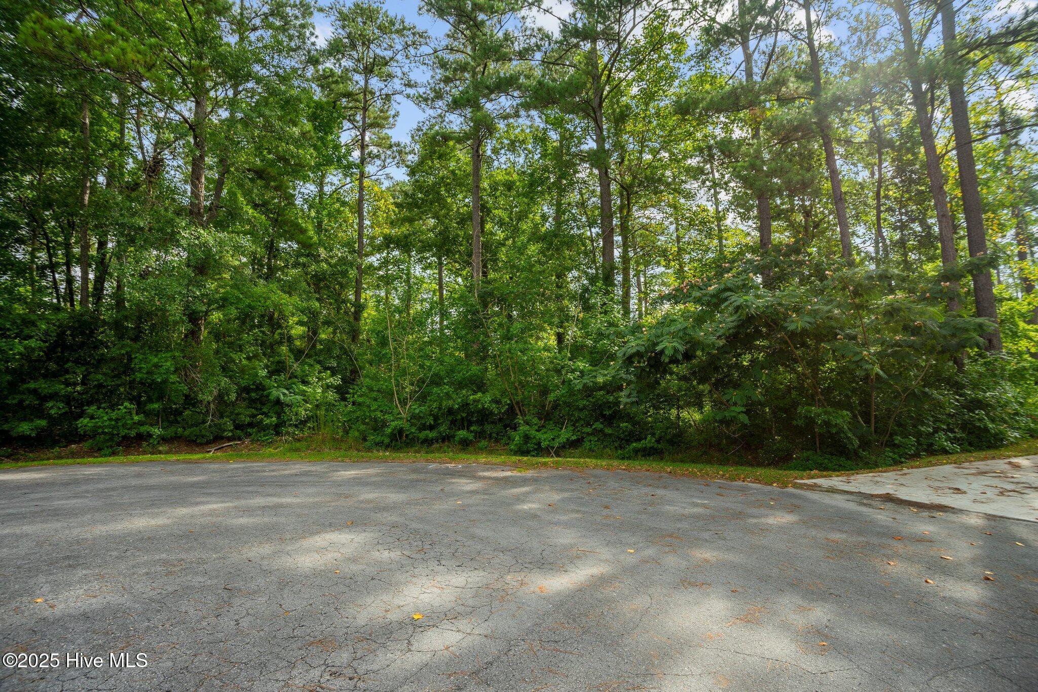 Undeveloped at 178 114 Marsh Run, Oriental, NC 28571, photo 23 of 28