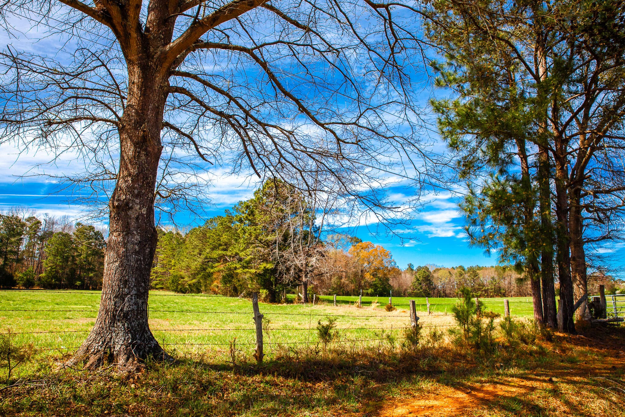 Undeveloped at 3520 3 Mistletoe Rd Road, Appling, GA 30802, photo 8 of 12