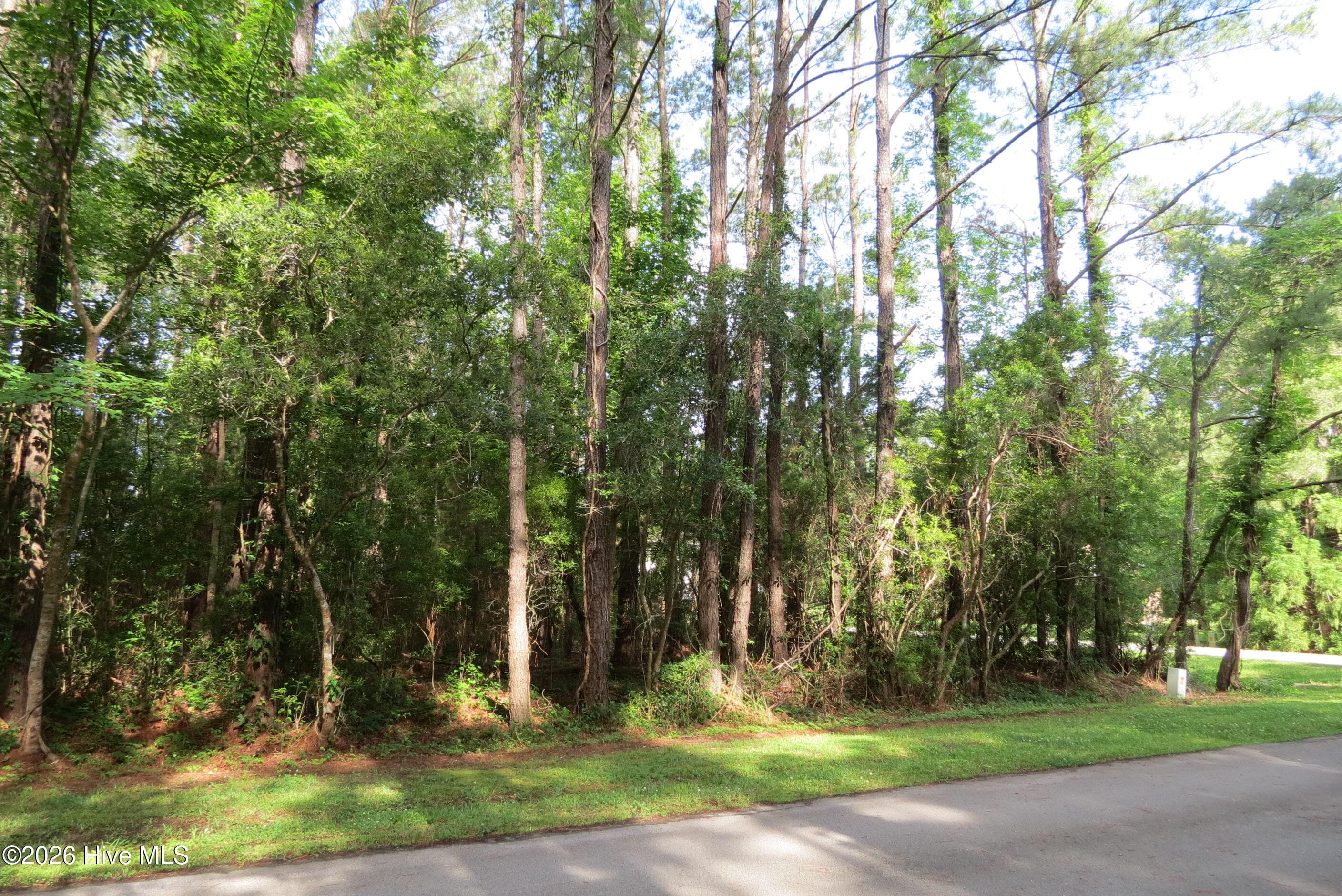 Residential Lot at 20 19 Teal Road, Merritt, NC 28556, photo 11 of 22