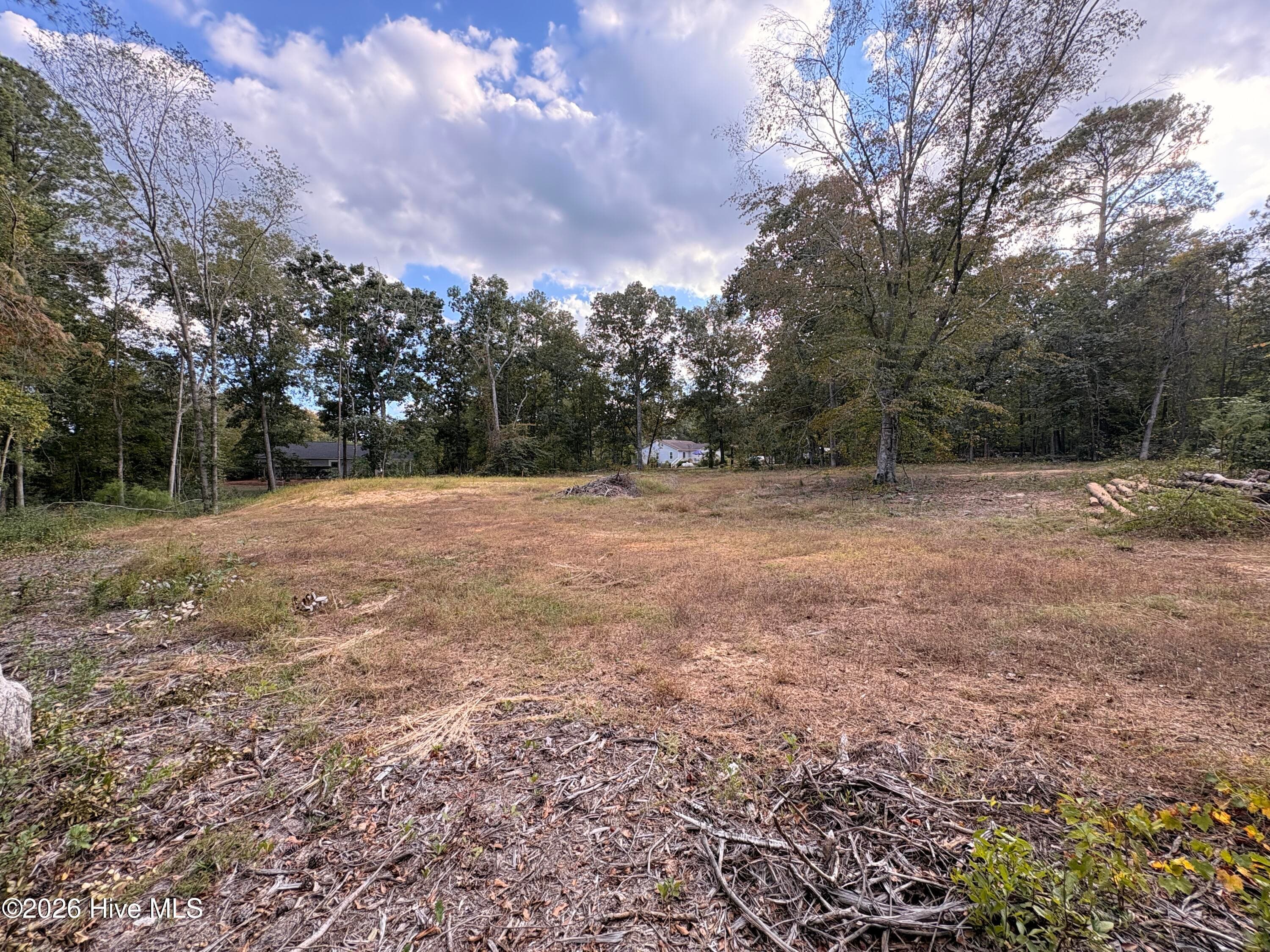 Residential Lot at 209 Oak Drive, Elizabethtown, NC 28337, photo 5 of 10