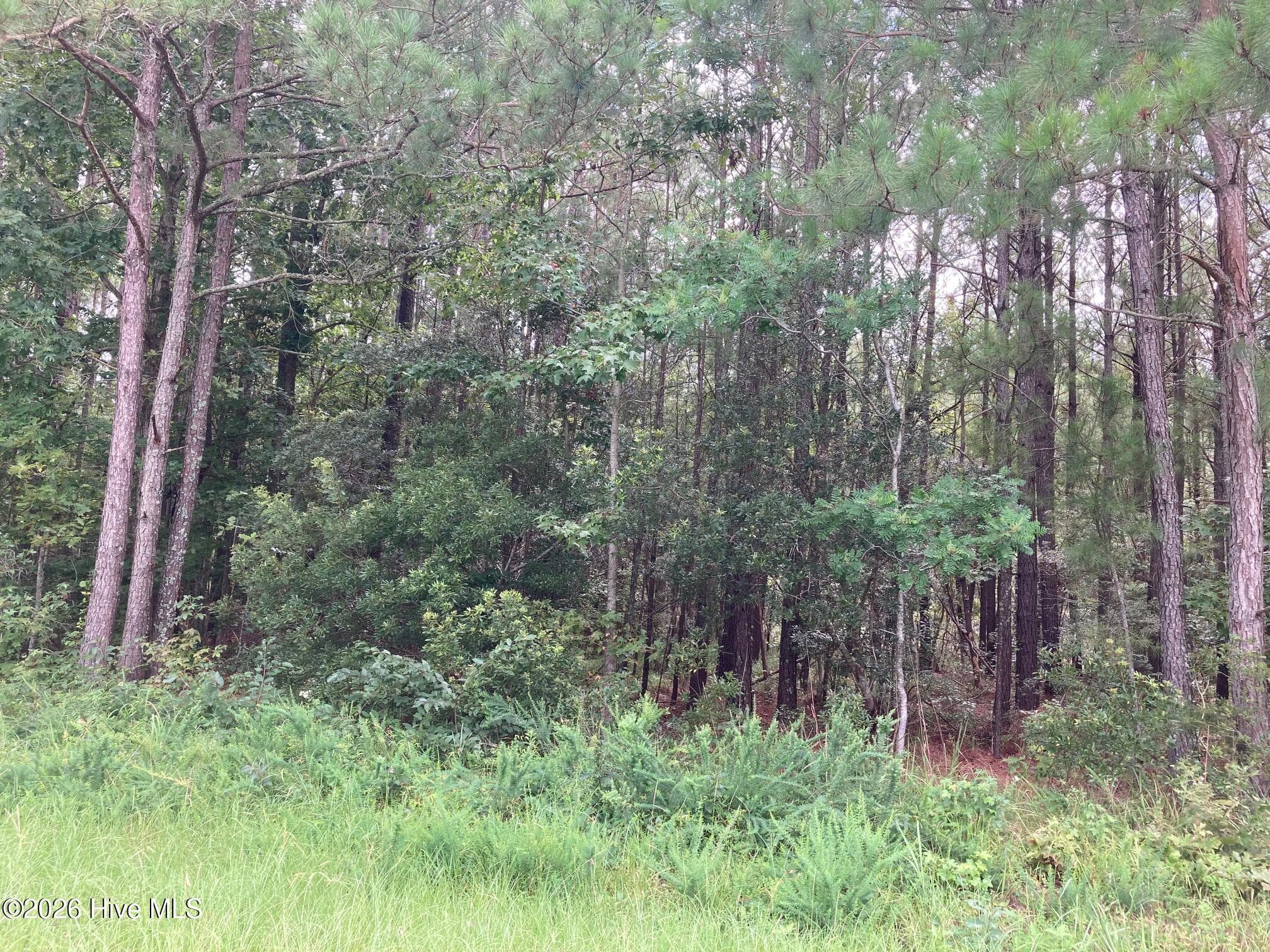 Residential Lot at Lot # 33 33 33 Pine Crest Road, Bath, NC 27808, photo 3 of 7