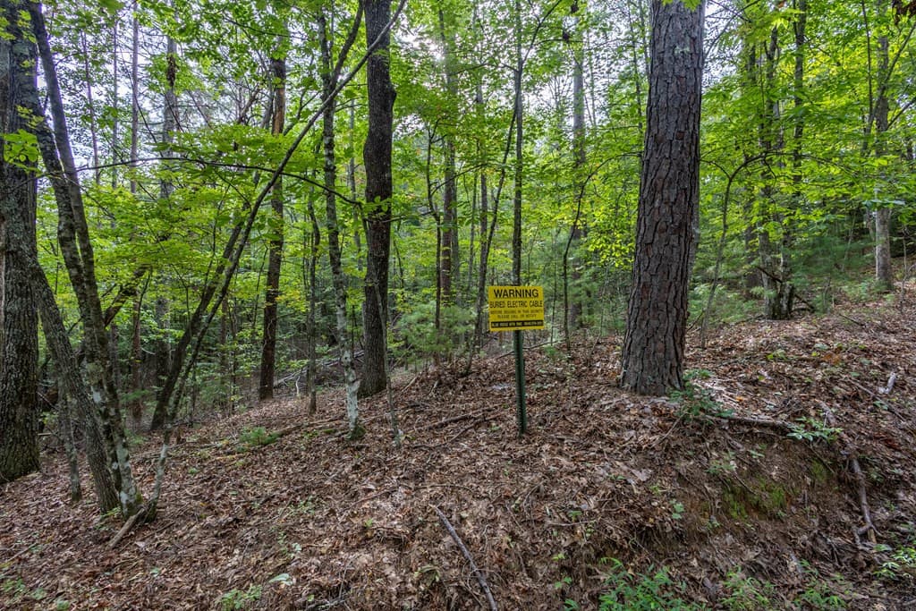 Residential Lot at 2 Ac 6 Horvath Road, Murphy, NC 28906, photo 10 of 12