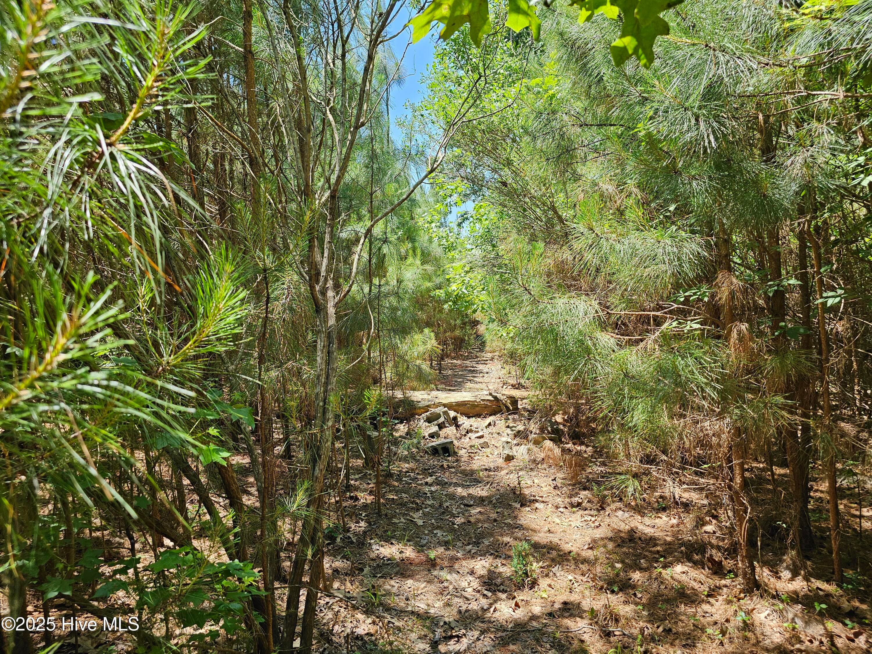 Residential Land at 10 10 Peninsula Shores Way, Hertford, NC 27944, Hertford, photo 14 of 18