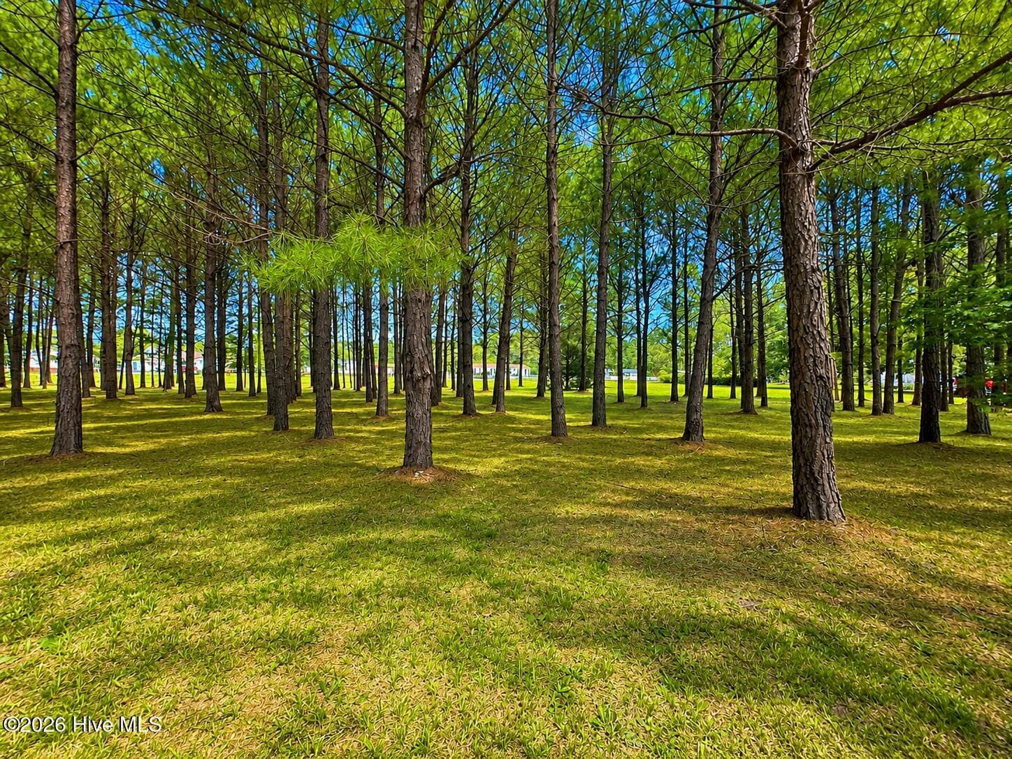 Residential Lot at 28 Bunn Road, Kenly, NC 27542, photo 7 of 11