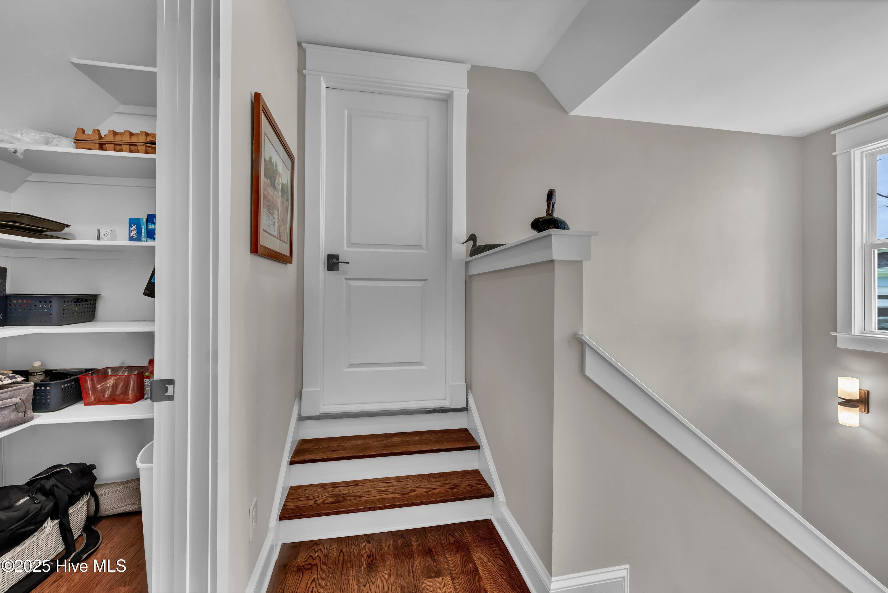 Door to walk-in attic - 3623 White Cliffs Drive, Castle Hayne, NC 28429